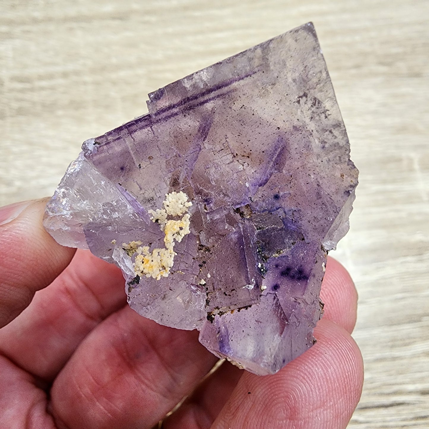 A hand holding a rough piece of amethyst crystal, reminiscent of the striking formations found in Cave in Rock, against a light wooden background. The crystal has a light purple hue with some whitish and brown inclusions, and its surface appears uneven and jagged. This piece is part of The Crystalary's LIVE- cactusoddities- 9/19/24 & 9/26/24 collection.