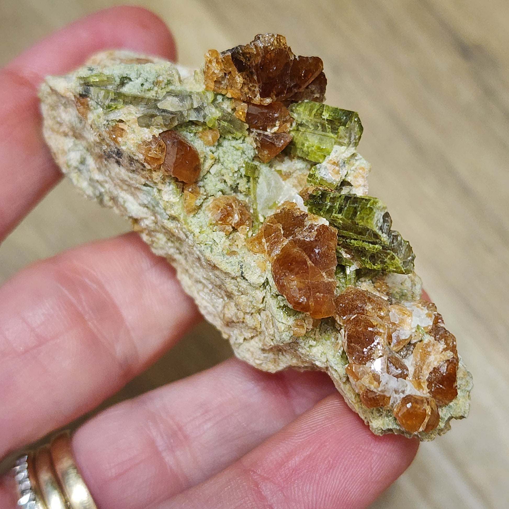 A hand holding a mineral specimen featuring vibrant green Diopside and brown crystals, embedded in a rocky matrix. The background is a wooden surface that accentuates the texture details of the crystals and showcases the rings on the hand, part of The Crystalary's LIVE- vineyardguy- 9/27/24 collection.