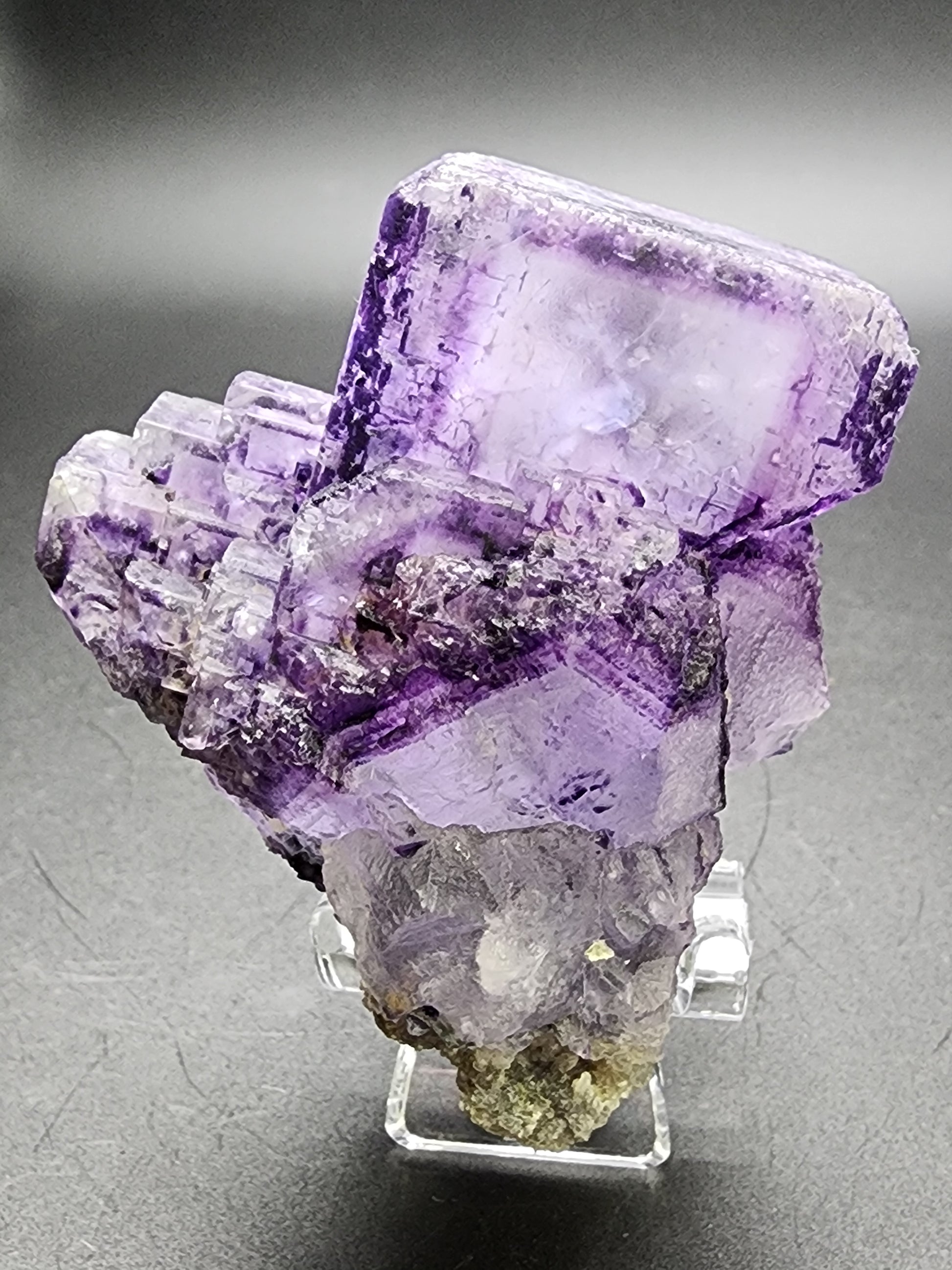 A group of Fluorite crystals from Larkin's Quarry in Connemara, proudly displayed on a clear stand by The Crystalary, showcases beveled cube formations and a translucent appearance with vibrant color against a plain dark background.