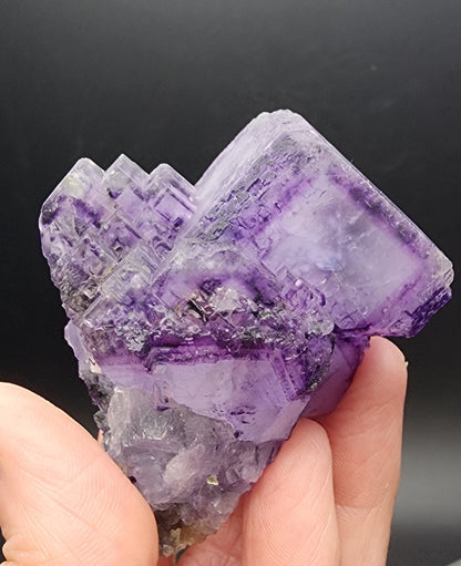 A close-up reveals a hand holding a cluster of translucent, purple Fluorite crystals from Larkin's Quarry, Shannapheasteen, Costelloe, Connemara, Galway County, Connacht, Ireland. These beveled cube formations exude glossy deep purple bands with subtle clear phantoms against a dark background. Brought to you by The Crystalary.