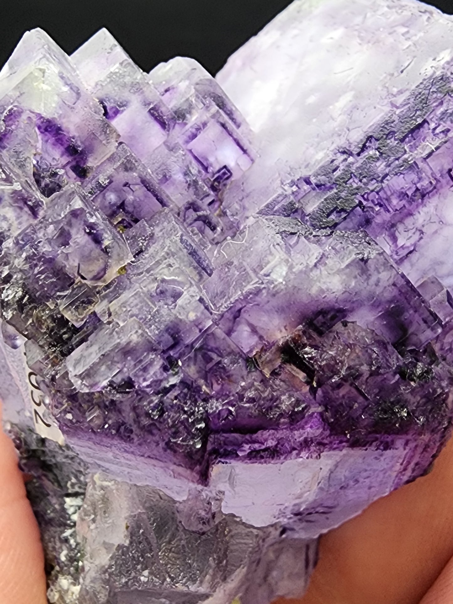 Close-up of a person's hand holding a cubic Fluorite crystal cluster from Larkin's Quarry, Ireland, by The Crystalary. This stunning specimen features geometric formations with colors transitioning from light to deep purple, showcasing clear phantoms along with semi-transparent and opaque sections (sku3000).