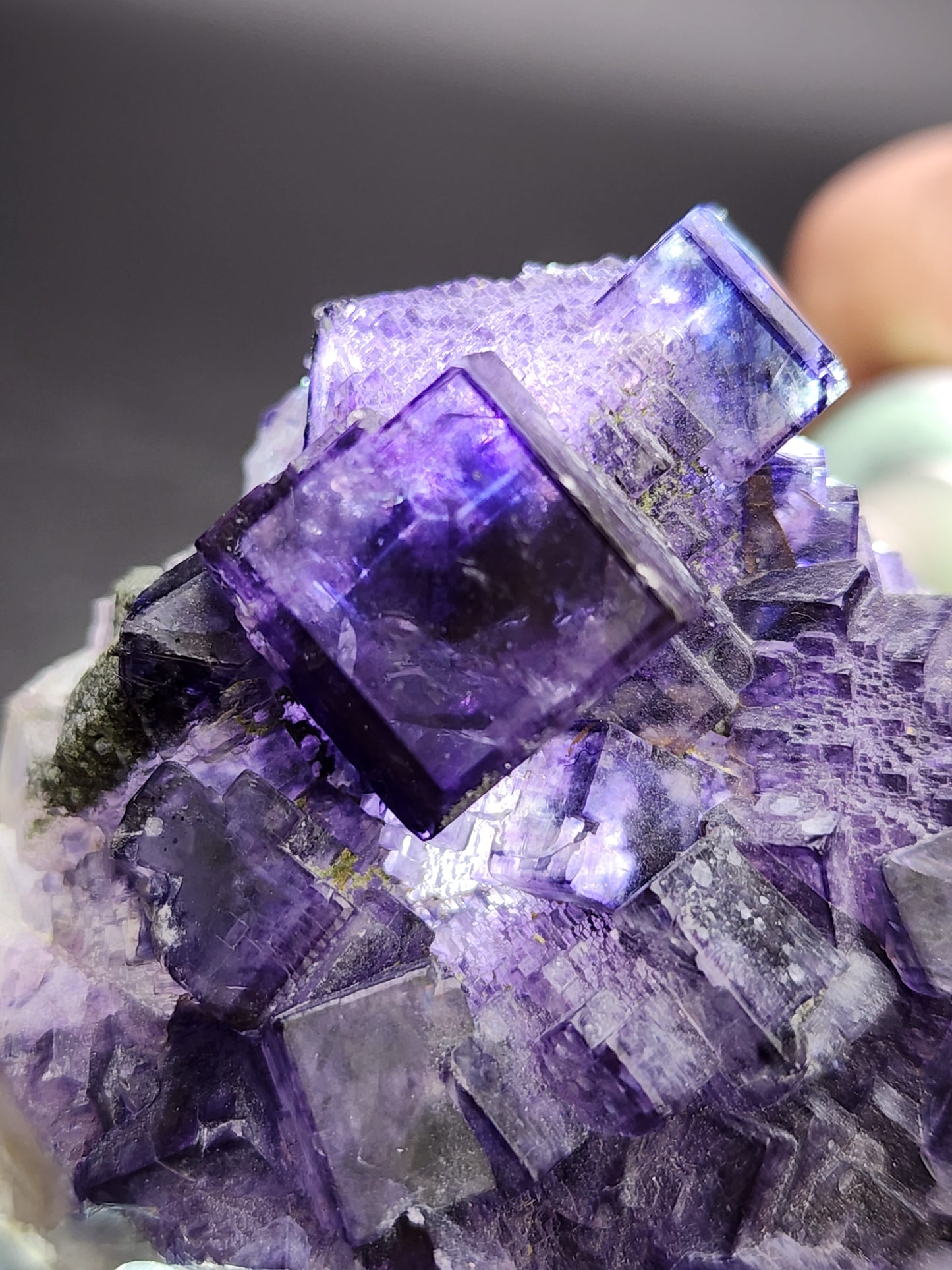 Capture the exquisite details of a medium cluster of purple fluorite crystals from Larkin's Quarry with this stunning piece from The Crystalary. The high-luster cubes vary in shades of purple, and the blurred background emphasizes the intricate details and clarity of these captivating formations. Product SKU: 3002.