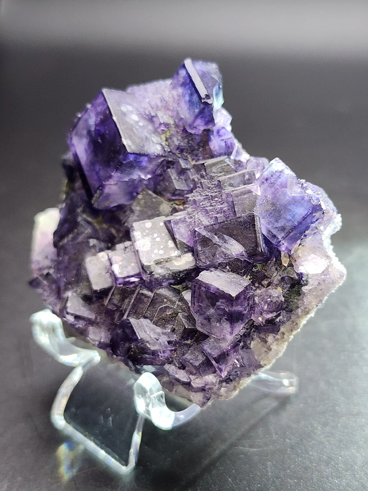 A medium cluster of The Crystalary's Fluorite from Larkin's Quarry in Shannapheasteen, Costelloe, Connemara, Galway County, Connacht, Ireland (sku3002) is showcased on a clear stand. The collection features high luster purple fluorite crystals with cubic formations. These deep violet crystals vary in size and subtly reflect light against a dark background.