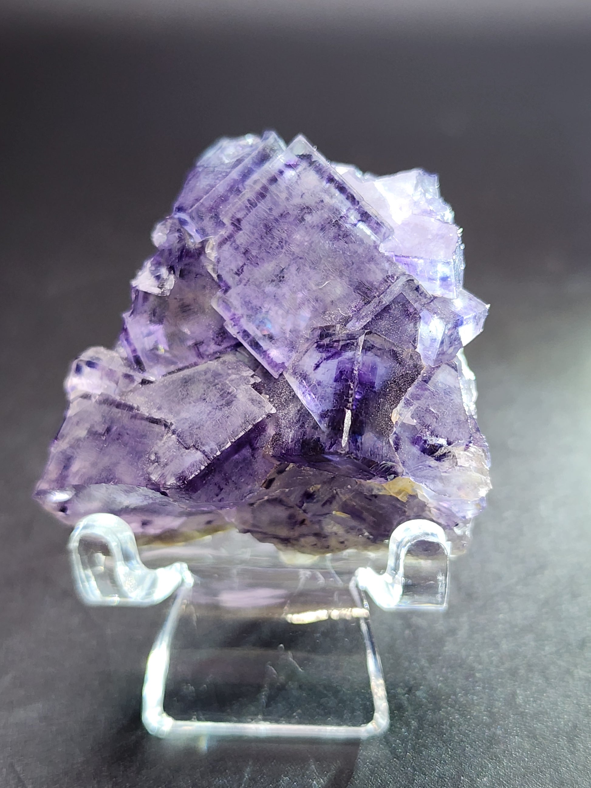 Displayed on a clear stand against a dark background, The Crystalary's Fluorite from Larkin's Quarry showcases a captivating cluster of cubic purple crystals. The translucent quality and diverse hues produce a stunning stained glass effect, accentuating the sharp geometric edges.