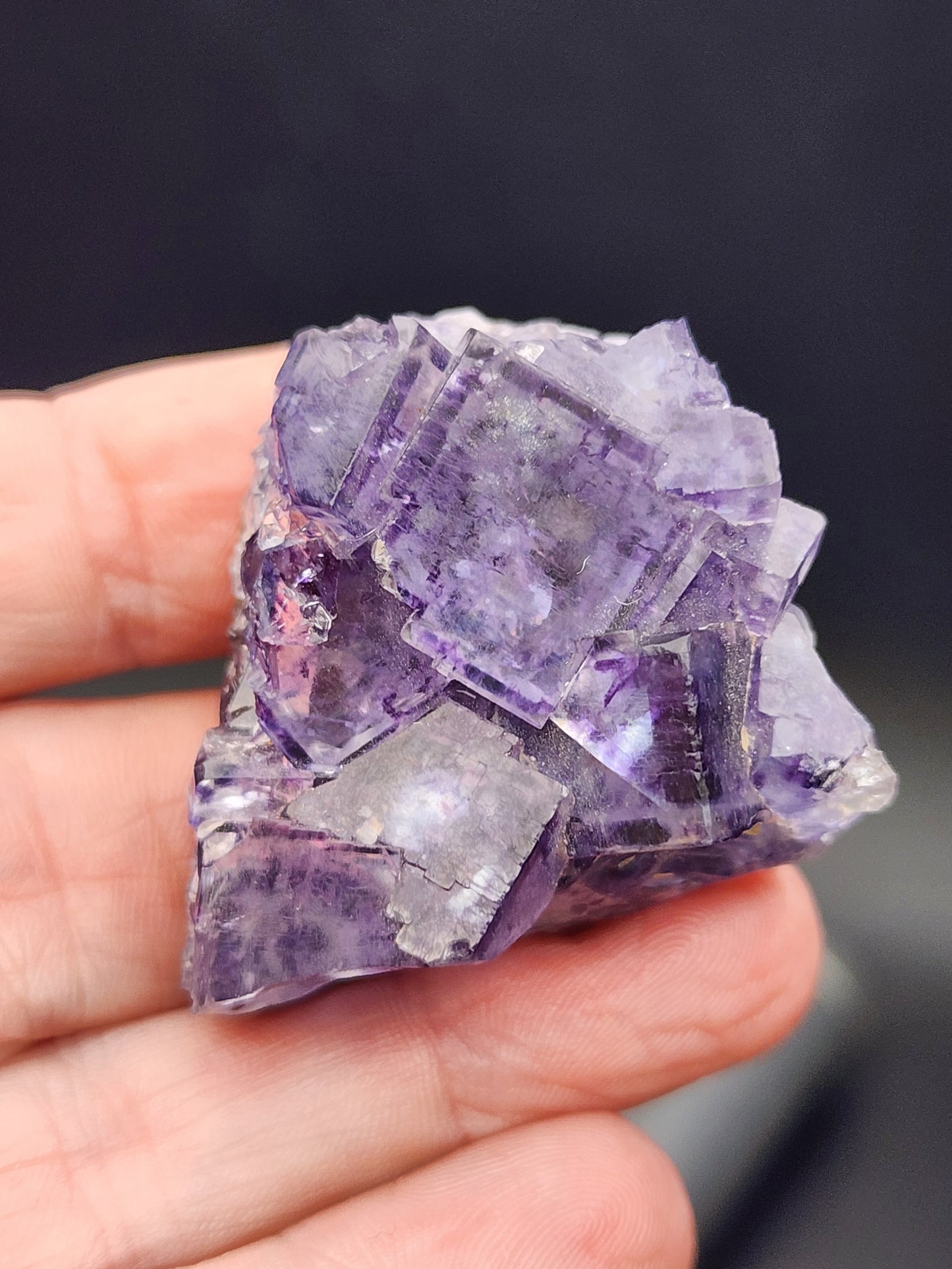 A hand holds a cluster of purple cubic fluorite crystals from The Crystalary, set against a dark background and resembling an exquisite stained glass effect. This Fluorite- Larkin's Quarry piece (sku3001) showcases translucent crystals with varying shades of purple, displaying a mesmerizing geometric structure as if freshly unearthed from Shannapheasteen, Costelloe, Connemara in Galway County, Connacht, Ireland.