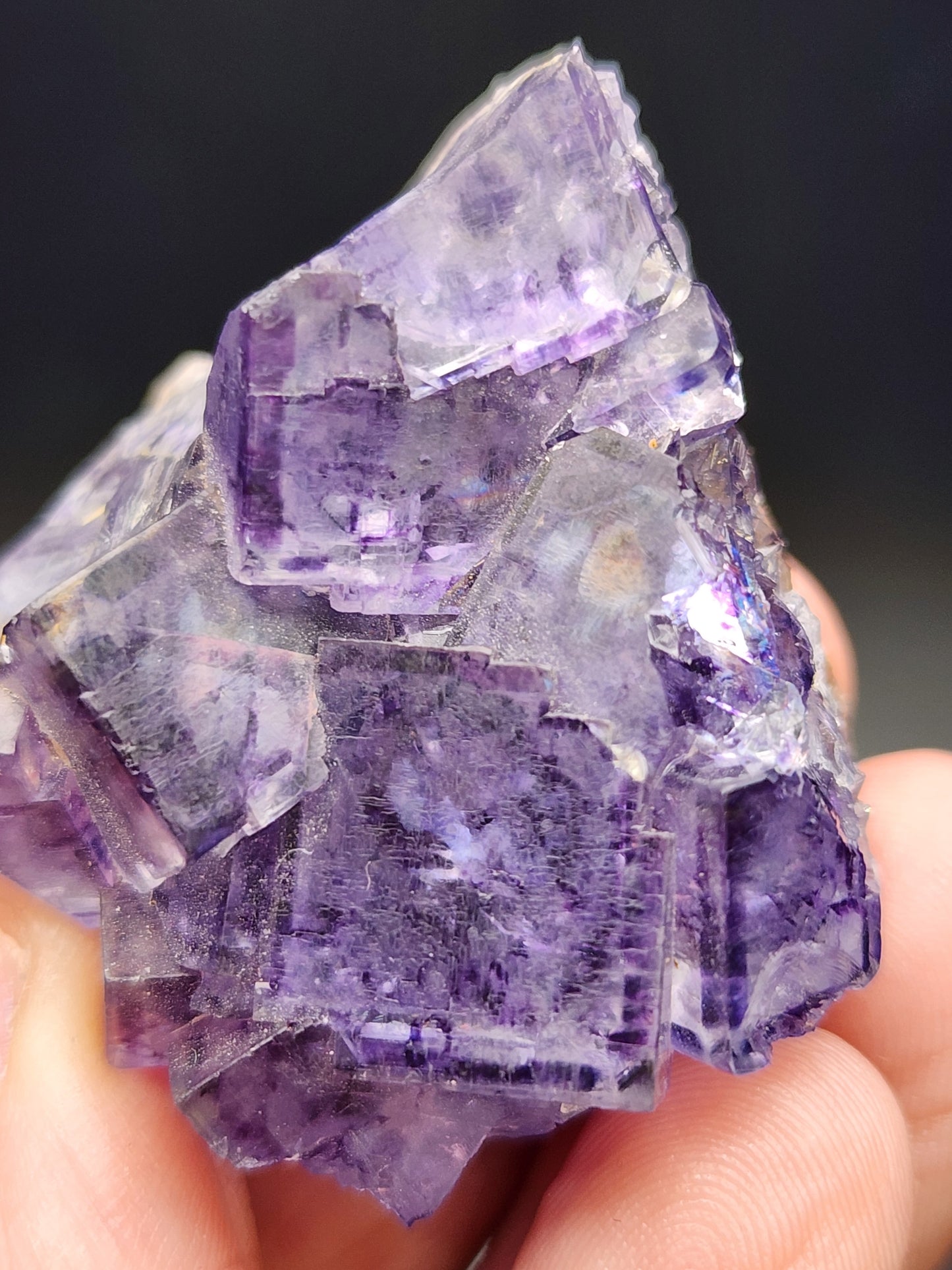 A hand holds a cluster of clear purple Fluorite crystals from Larkin's Quarry in Shannapheasteen, Connemara, offered by The Crystalary (sku3001). These transparent, cubic crystals exhibit varying shades of purple akin to a stained glass effect. The blurred background enhances the vibrant texture and color of this captivating mineral.