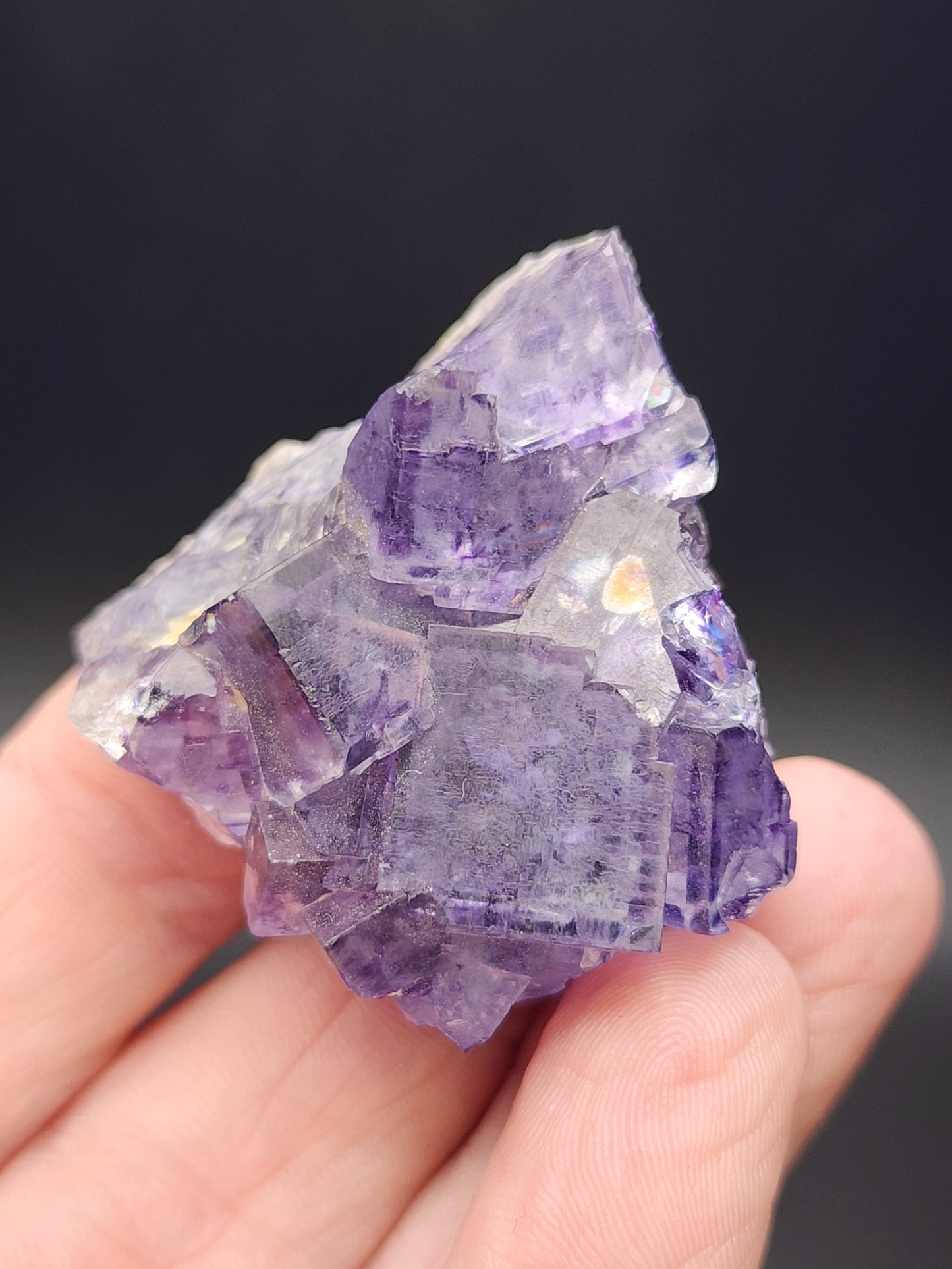 A hand holding a cluster of The Crystalary's Fluorite from Larkin’s Quarry in Shannapheasteen, Costelloe, Connemara, Galway County, Connacht, Ireland (SKU: sku3001), showcases their cubic shapes against a dark background, reminiscent of the stained glass effect.