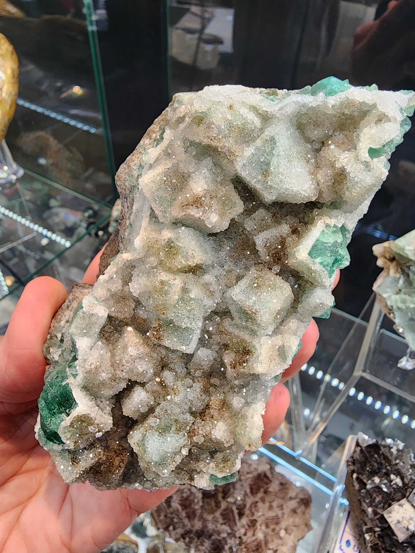 A hand holds a large, textured specimen of "Fluorite with Quartz- Druzy Dreams Pocket" from The Crystalary, featuring green and white crystals. The background reveals a display shelf showcasing other mineral clusters, evoking the renowned finds from the Rogerley Mine in Frosterley, Weardale, Co. Durham, England.