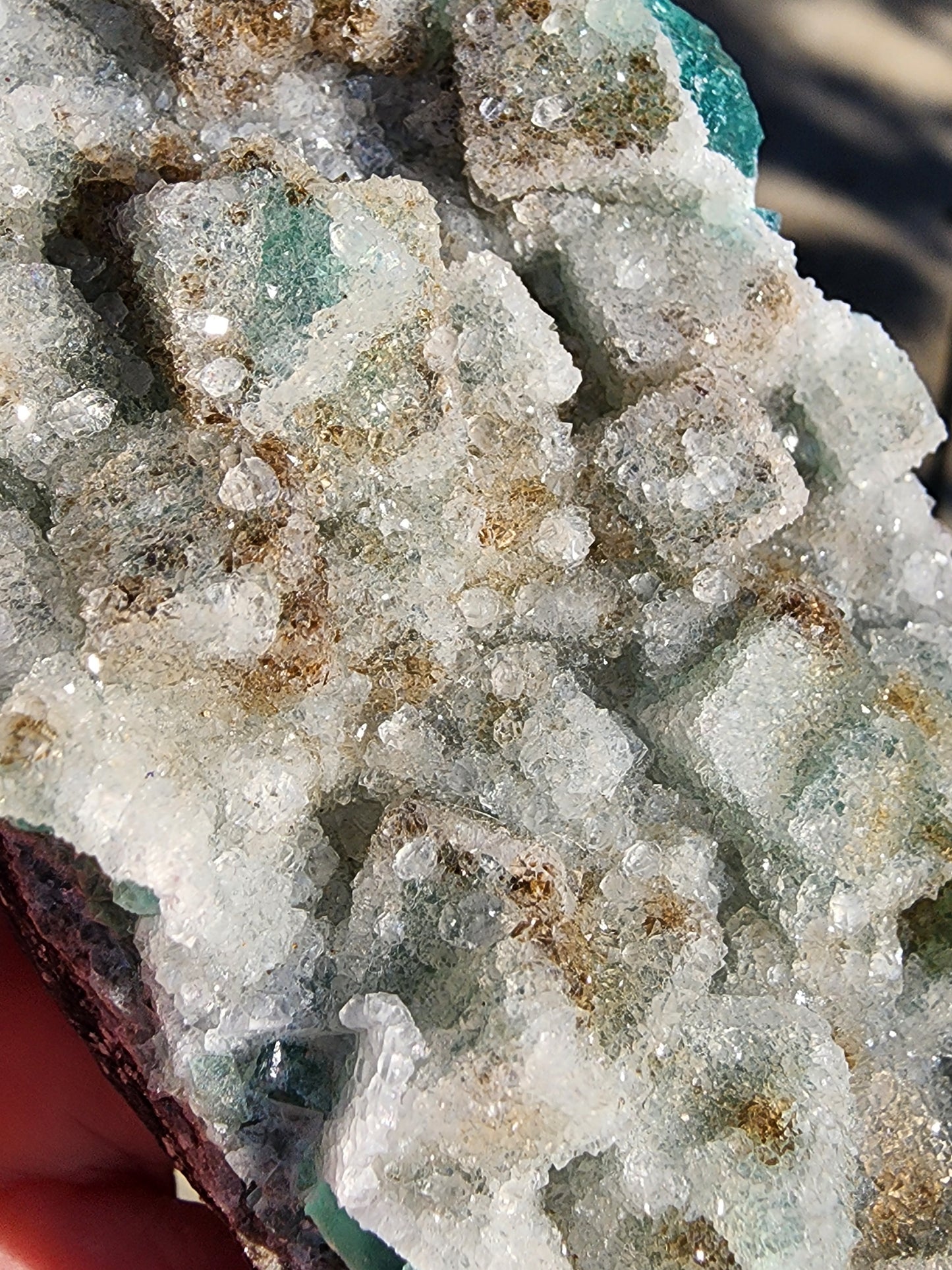 A close-up of the Fluorite with Quartz from The Crystalary's "Druzy Dreams Pocket" collection reveals a cluster specimen featuring sparkling crystals in shades of white, light green, and brown. The textured geometric formations on the surface are reminiscent of the exquisite fluorite from Rogerley Mine, glistening under natural light. This piece hails from Frosterley, Weardale, Co. Durham, England (sku11).