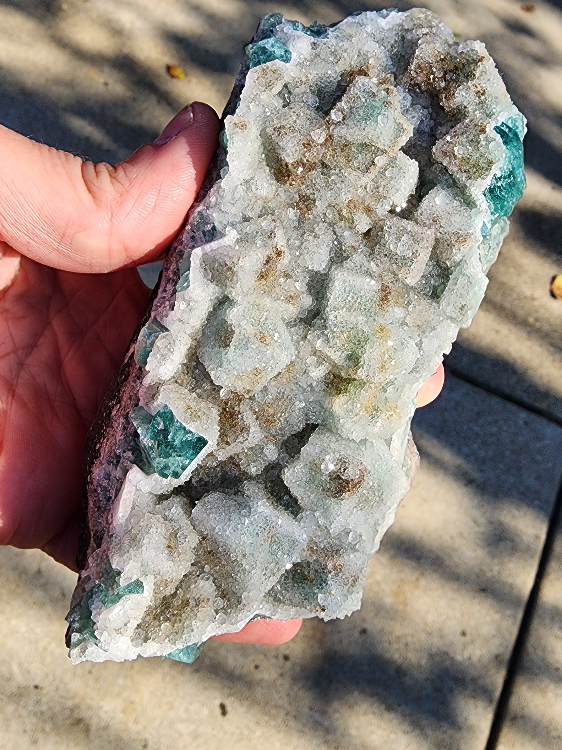 A hand holds a large, irregularly shaped cluster specimen featuring green and white crystals—identified as the Fluorite with Quartz - Druzy Dreams Pocket from The Crystalary, sourced from the famed Rogerley Mine. The backdrop showcases a stone or concrete surface accentuated with soft shadows.