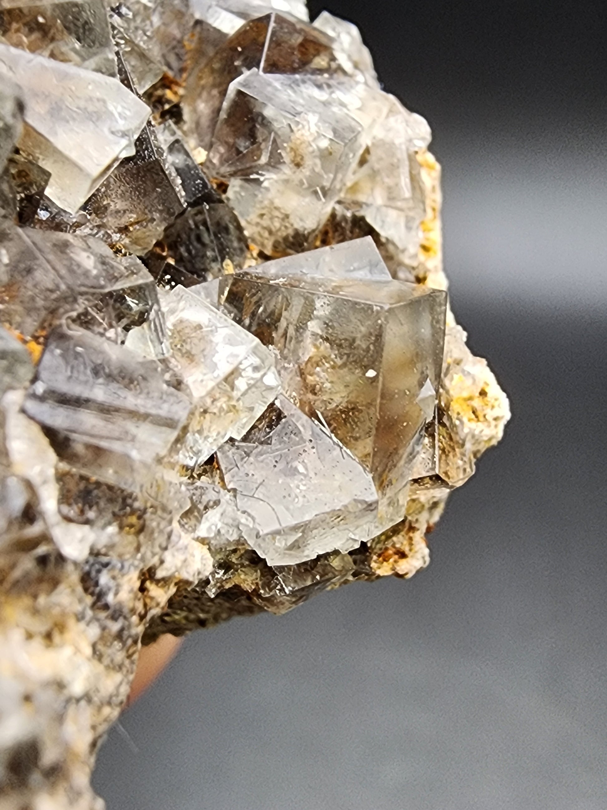 Close-up of a mineral rock formation featuring transparent and smoky quartz crystals from The Crystalary's Fluorite- Smoky Rabbit Pocket, sourced from the Diana Maria Mine in Frosterley, Weardale, Co. Durham, England (sku3014). The angular crystals beautifully reflect light against a dark background, making it an exquisite cabinet example.