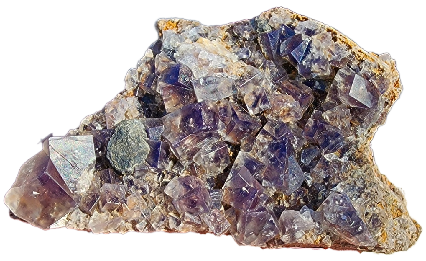 A cluster of Fluorite crystals from the Smoky Rabbit Pocket at the Diana Maria Mine, featuring various sizes and sharp edges, rests on a plain background. The translucent crystals reflect light beautifully and showcase some earthy inclusions—making it an ideal cabinet specimen from The Crystalary.