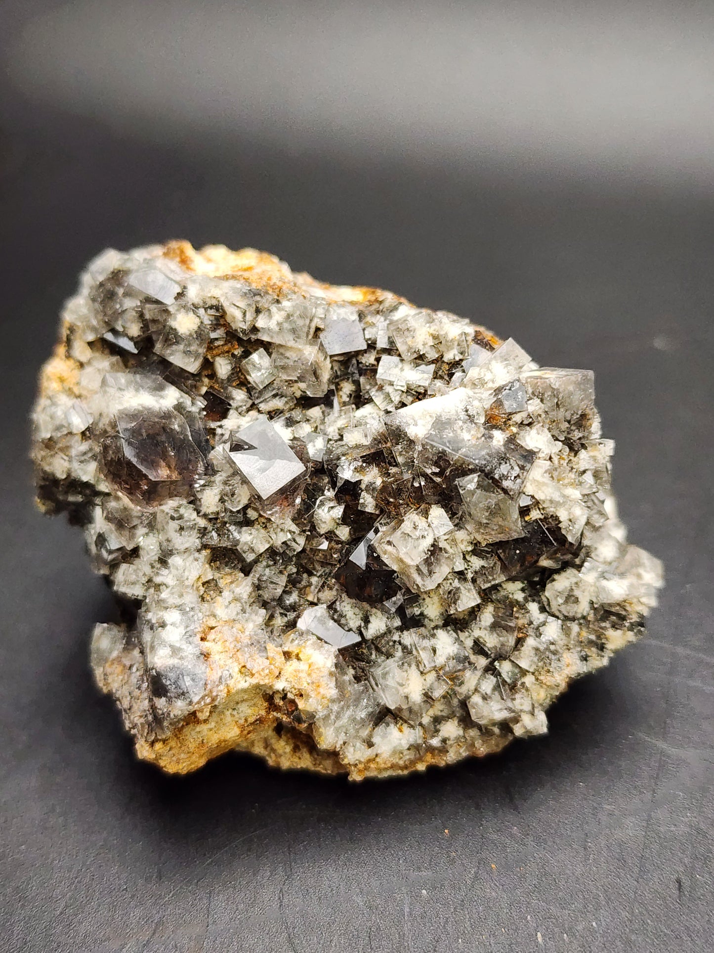 A close-up of a mineral sample from The Crystalary showcases numerous small, shiny fluorite crystals covering its rough, light brown base. These irregularly shaped crystals feature a dark metallic sheen. A solid black backdrop highlights the striking details of this Smoky Rabbit Pocket discovery from the Diana Maria Mine in Frosterley, Weardale, Co. Durham, England (sku3015).