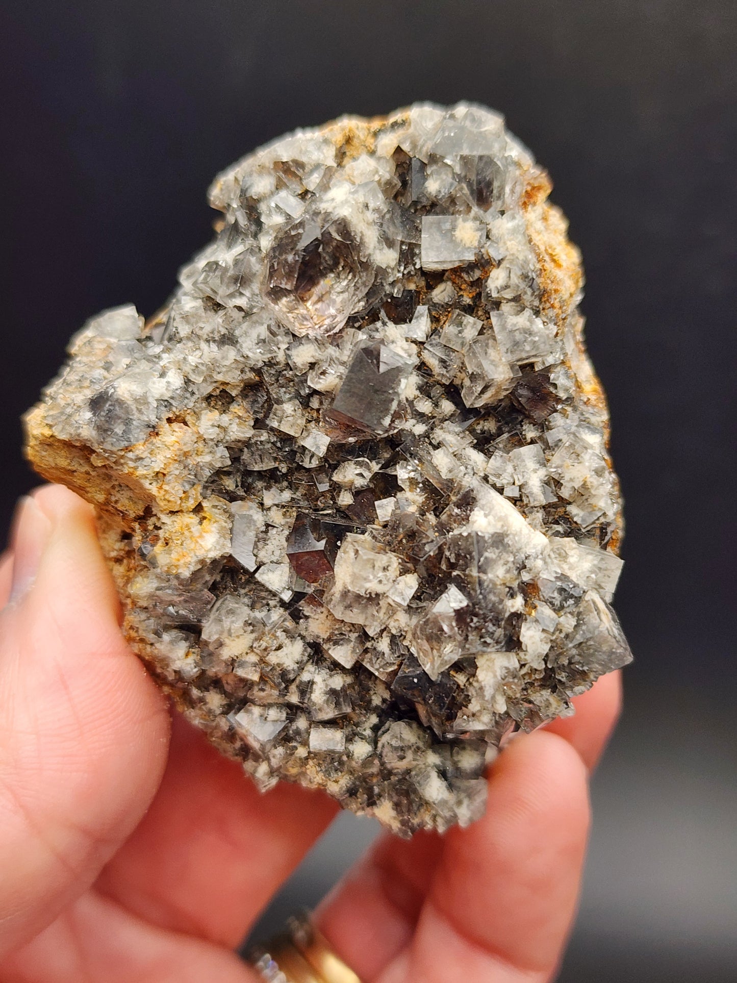 A hand holds a rough cluster of "Fluorite- Smoky Rabbit Pocket" from The Crystalary, sourced from the renowned Diana Maria Mine in Frosterley, Weardale, Co. Durham, England. The dark and light gray multi-faceted crystals reflect light beautifully, set in a brownish rock matrix. A blurred and dark background enhances the breathtaking beauty of this sku3015 gem.