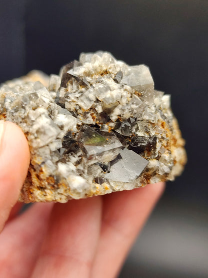 The Crystalary's Fluorite - Smoky Rabbit Pocket from the Diana Maria Mine in Frosterley, Weardale, Co. Durham, England (sku3015) showcases a hand grasping a cluster of translucent gray crystals with sharp edges. These fascinating formations are set within a light brown, earthy matrix, highlighted by a softly blurred background that enhances their intricate details and clarity.