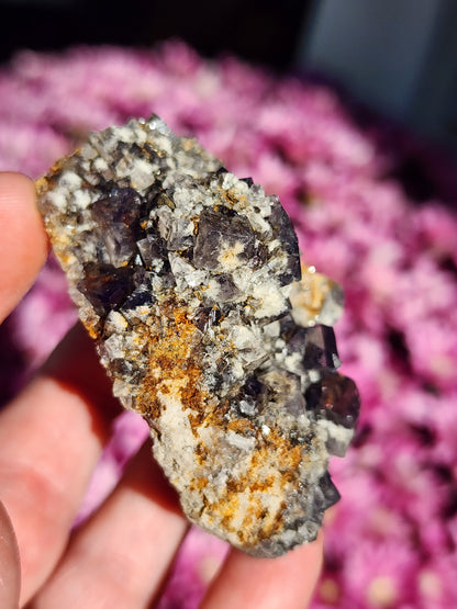 A hand displays a Fluorite specimen from the Smoky Rabbit Pocket at the Diana Maria Mine in Weardale, featuring a blend of gray, white, and orange hues with intricate dark crystalline formations. The background features a soft blur of pink flowers. This piece is part of The Crystalary collection under sku3015.