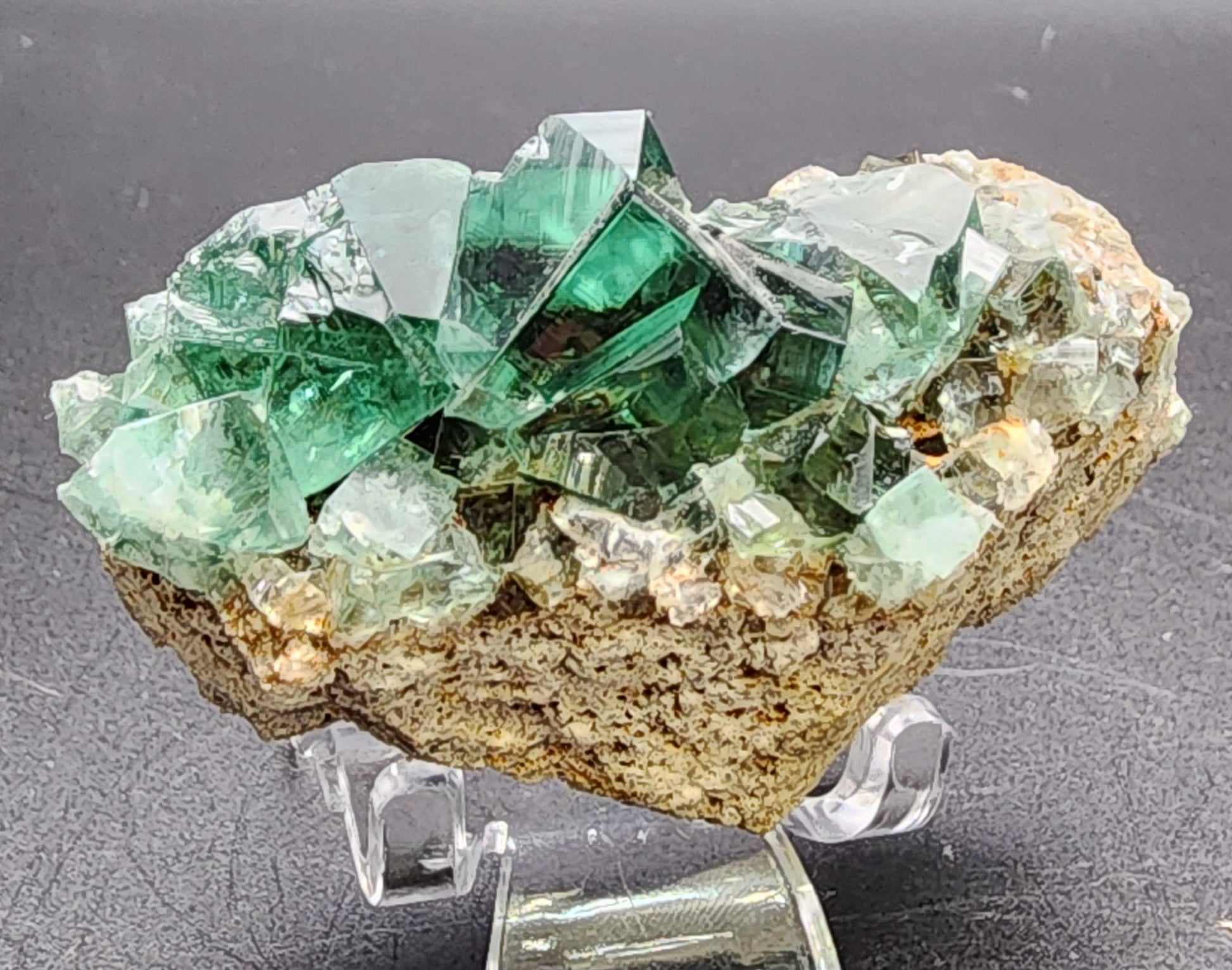 A stunning array of vibrant green fluorite cubes, sourced from the Greedy Hog pocket at the Diana Maria Mine in Co Durham, UK, rests on a brown rocky base. The crystals, predominantly cubic in shape with differences in size and transparency, are elegantly displayed on a clear stand against a gray background. This exquisite piece is offered by The Crystalary under sku 3071.