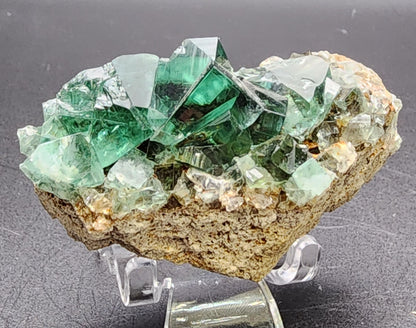 A stunning array of vibrant green fluorite cubes, sourced from the Greedy Hog pocket at the Diana Maria Mine in Co Durham, UK, rests on a brown rocky base. The crystals, predominantly cubic in shape with differences in size and transparency, are elegantly displayed on a clear stand against a gray background. This exquisite piece is offered by The Crystalary under sku 3071.