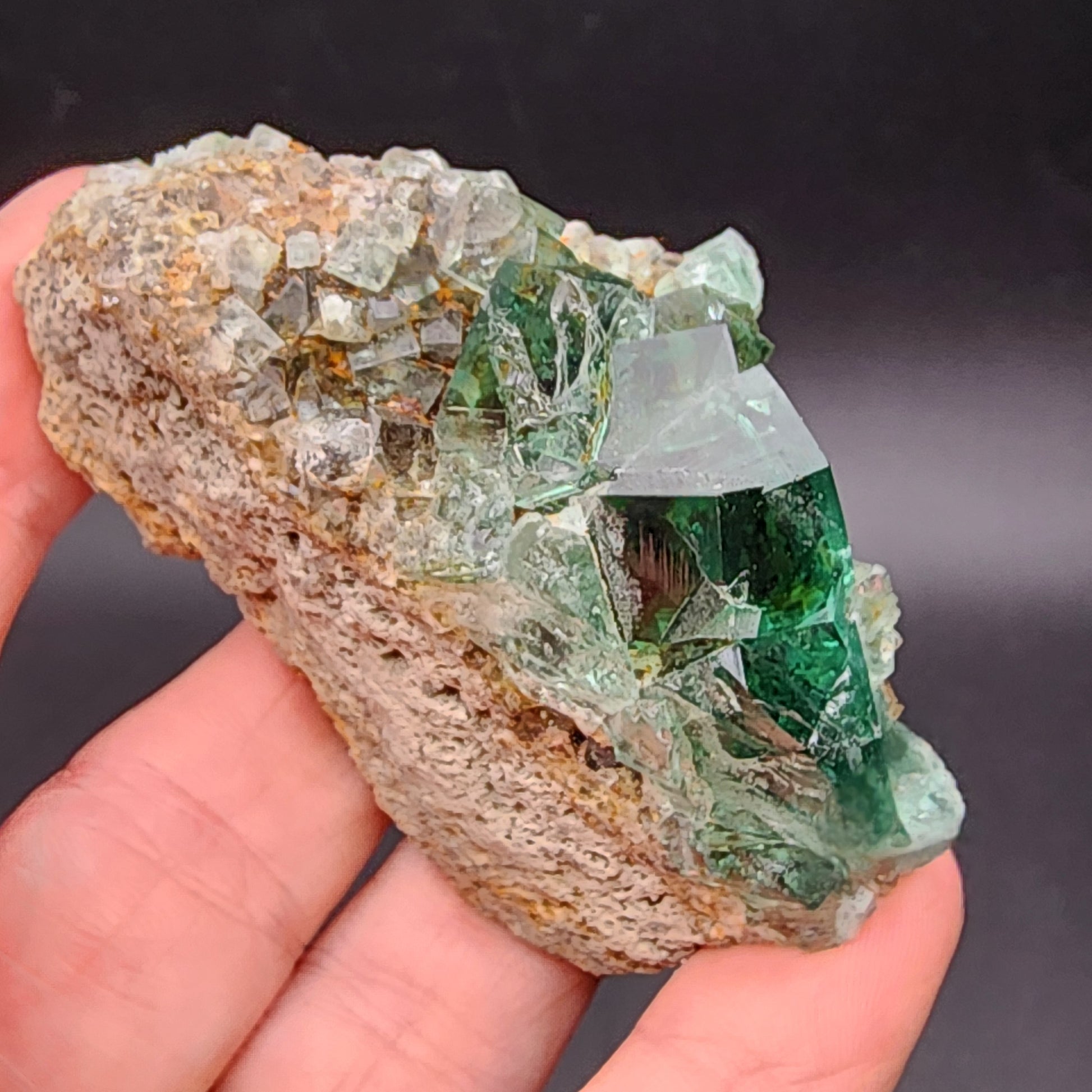 A person holds a cluster of light green fluorite crystals from The Crystalary, sourced from the Greedy Hog Pocket at the Diana Maria Mine in Co Durham, UK. These crystals with SKU 3071 feature sharp, defined edges and a rough brown base against a dark background, reminiscent of natural treasures.