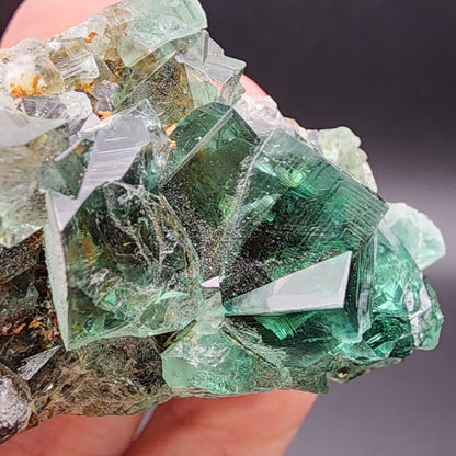 A close-up of a person's hand holding a cluster of transparent green crystals from The Crystalary's "Fluorite - Greedy Hog Pocket, Diana Maria Mine, Co Durham, UK" (SKU 3071) showcases their sharp, geometric elegance. The crystals reflect light brilliantly against a dark background, reminiscent of treasures from the Greedy Hog Pocket.