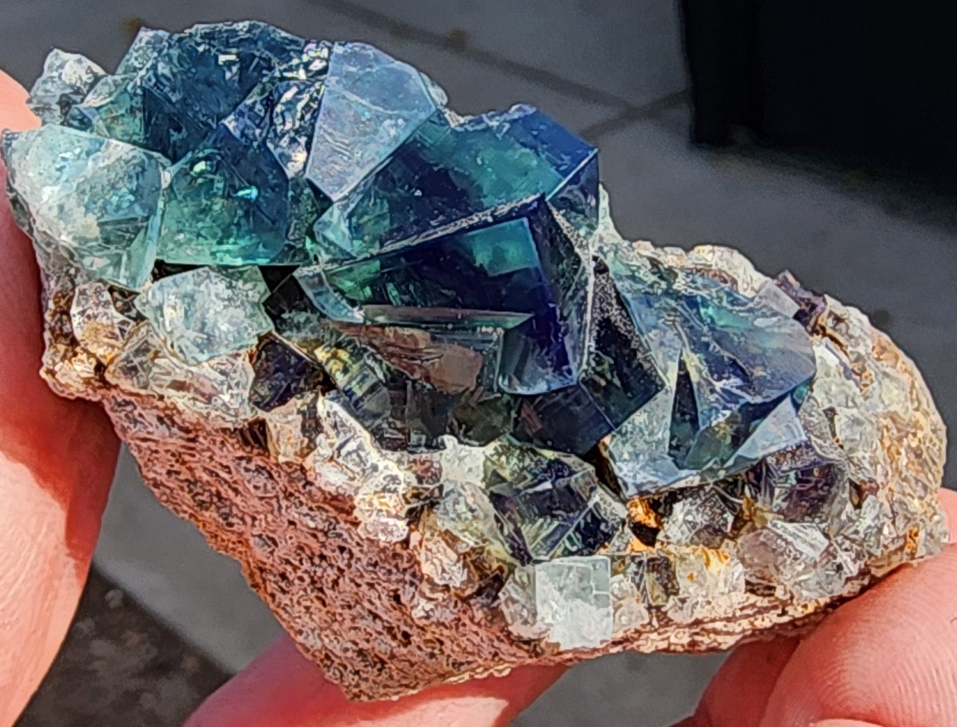 A hand holding a rock formation reveals vibrant blue and green crystals, reminiscent of the Fluorite from The Crystalary. The sharp, glassy crystals contrast with the rough, brown stone beneath them, similar to treasures from the Greedy Hog Pocket at Diana Maria Mine in Co Durham, UK. The background is a blurred surface.