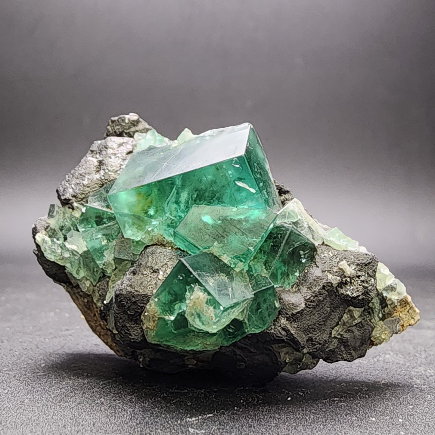 The Fluorite and Galena piece from The Crystalary features a stunning display of vibrant green cubic fluorite crystals perched on a dark rock matrix, accented with shimmering galena. These translucent crystals from the Greedy Hog pocket at Diana Maria Mine in Co Durham, UK, stand out beautifully against a neutral gray background, emphasizing their geometric shapes and natural beauty. (sku 3070)