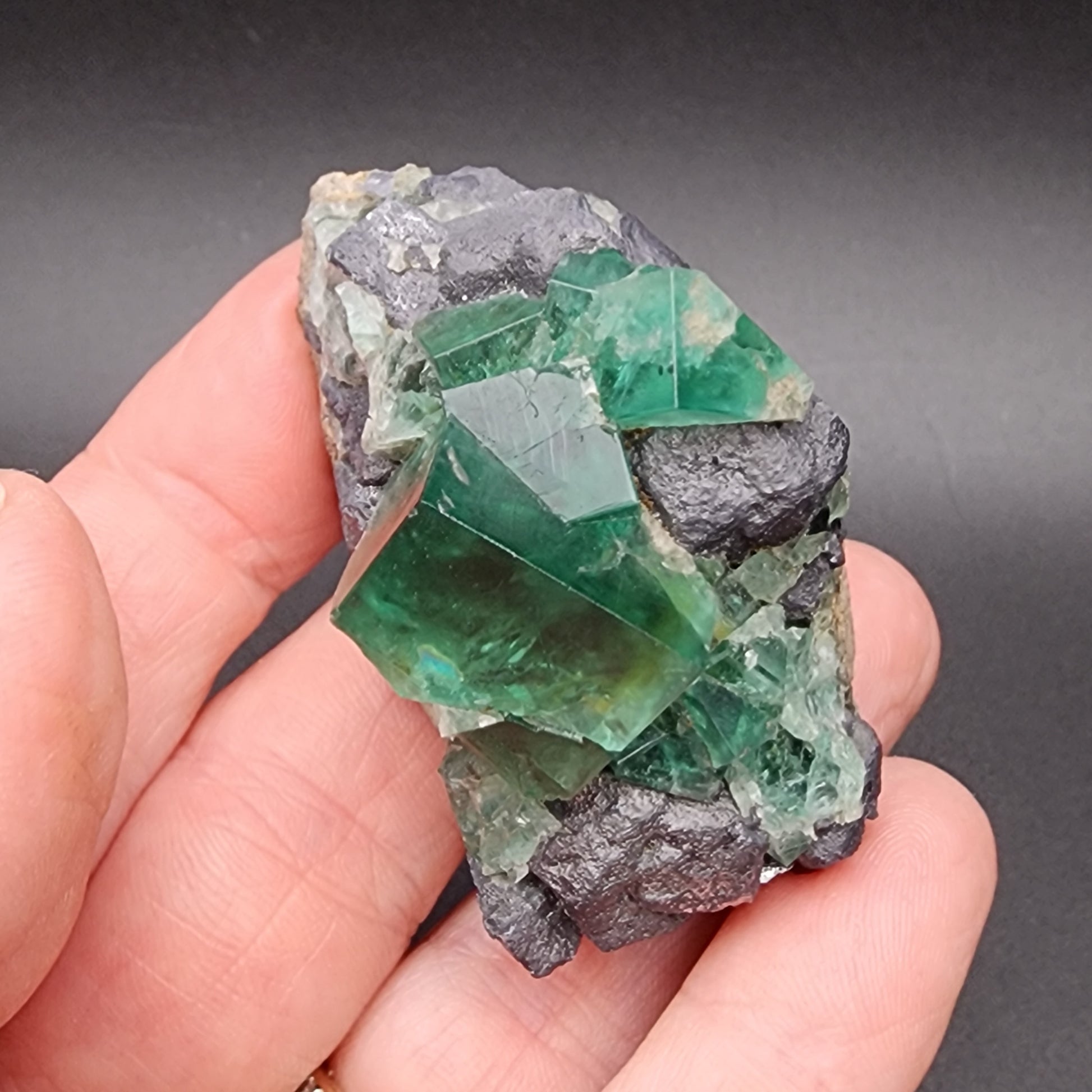 A hand holds a cluster of green fluorite crystals, accompanied by galena, embedded in a dark, rocky matrix from the Greedy Hog Pocket at the Diana Maria Mine in Co Durham, UK. The translucent crystals showcase a radiant and vibrant hue that contrasts beautifully with the rough texture of the surrounding rock. This exquisite piece is available from The Crystalary under sku 3070.