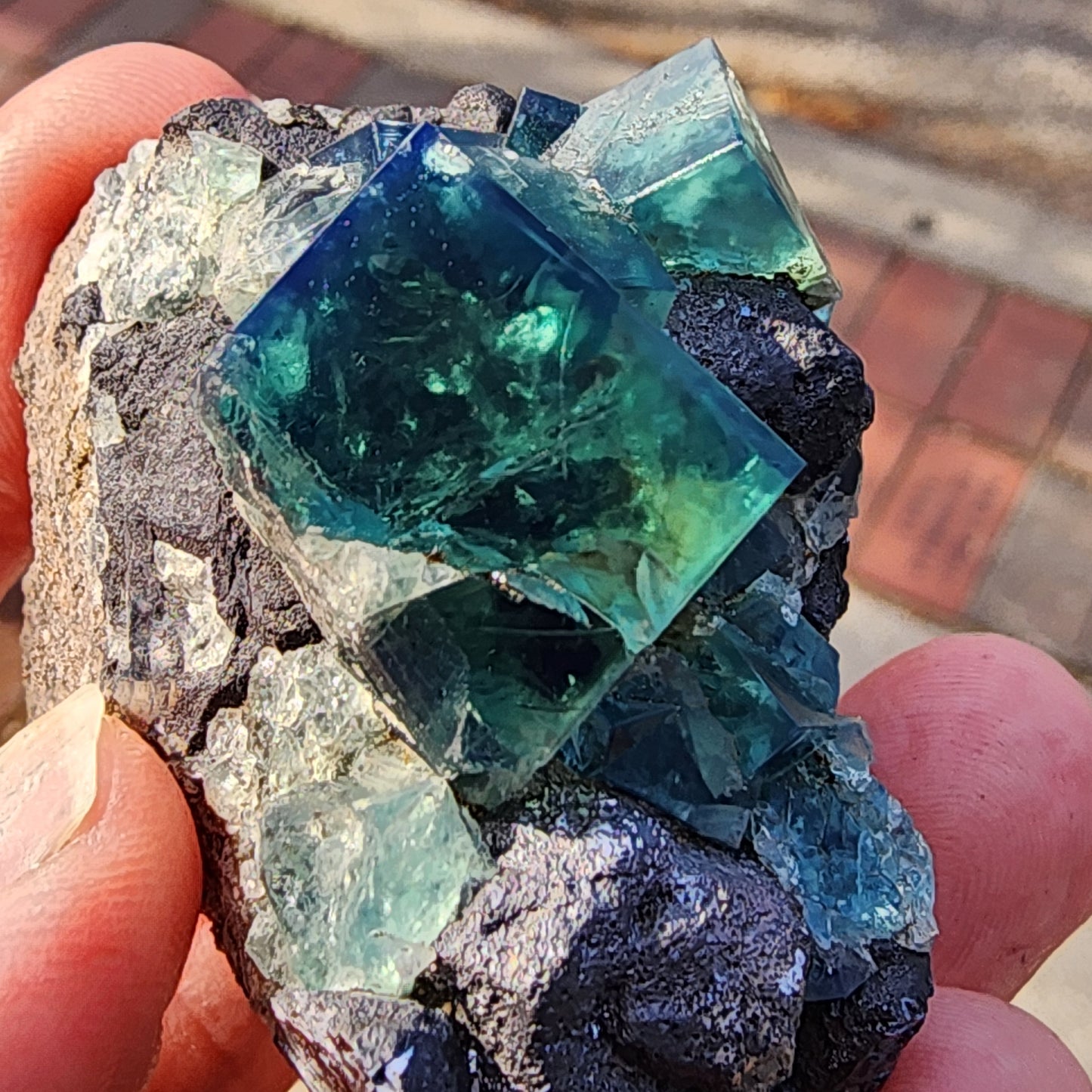 A close-up image showcases a hand holding a rock from The Crystalary brand, specifically the Fluorite and Galena, sourced from the Greedy Hog pocket at Diana Maria Mine in Co Durham, UK (sku 3070). The rock features large, translucent blue-green fluorite crystals with geometric shapes that capture the light beautifully, creating a striking depth and vibrant color contrast against the rougher dark surface of the rock.