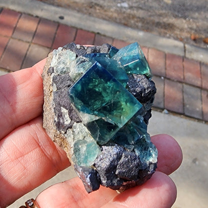 A hand holds a striking specimen of large, transparent blue and green fluorite crystals in a cube shape from the Greedy Hog pocket at Diana Maria Mine, Co Durham, UK. This exquisite piece by The Crystalary is perched on a dark gray Galena matrix and is identified by sku 3070. In the background, a sidewalk and street are visible.