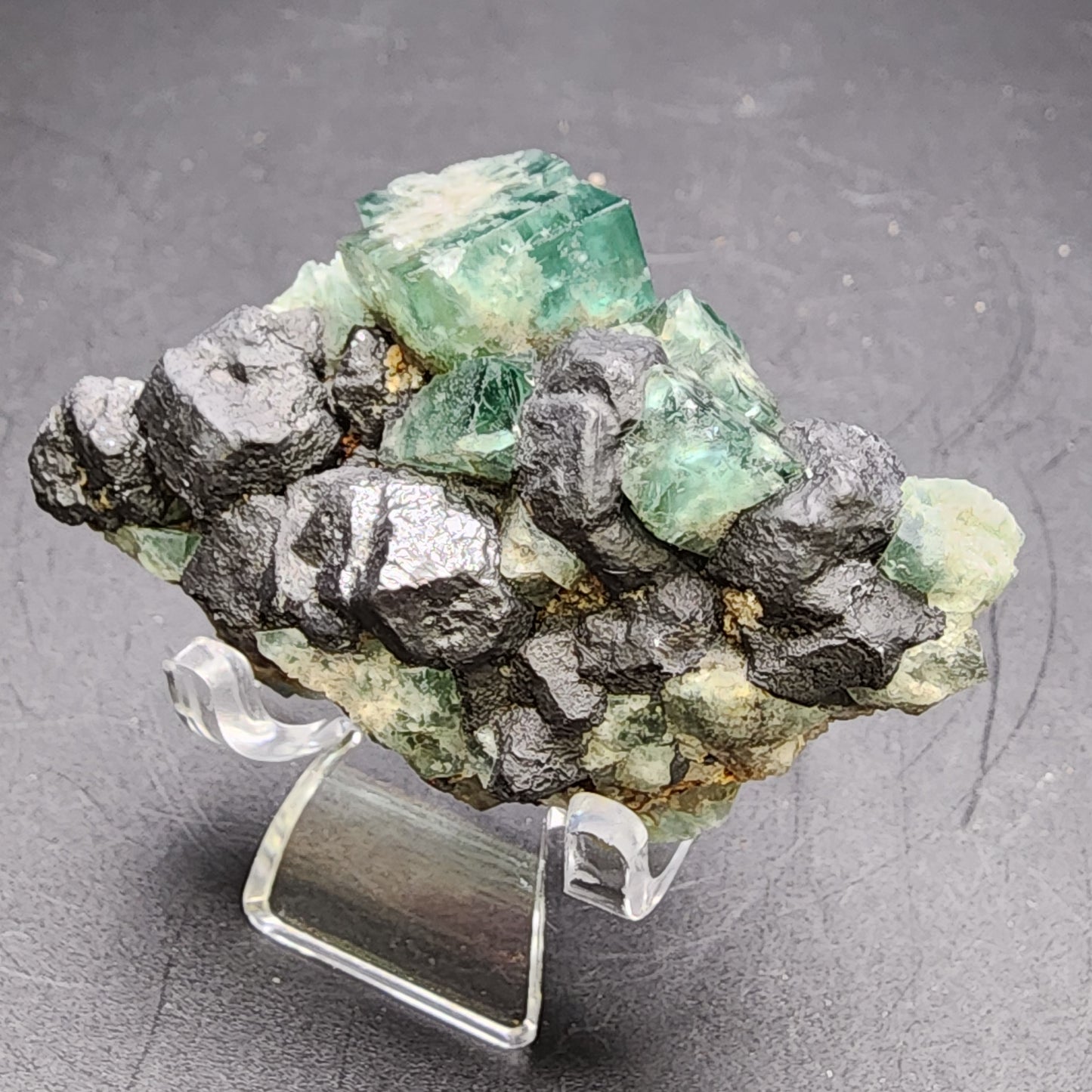 A close-up of the Fluorite and Galena from the "Greedy Hog" pocket at the Diana Maria Mine in Co Durham, UK, showcases green fluorite crystals on a black sphalerite matrix. The translucent, cubic fluorite forms a striking contrast against the rough sphalerite surface, while subtle hints of galena add a metallic sheen. It is elegantly displayed on a clear stand by The Crystalary.