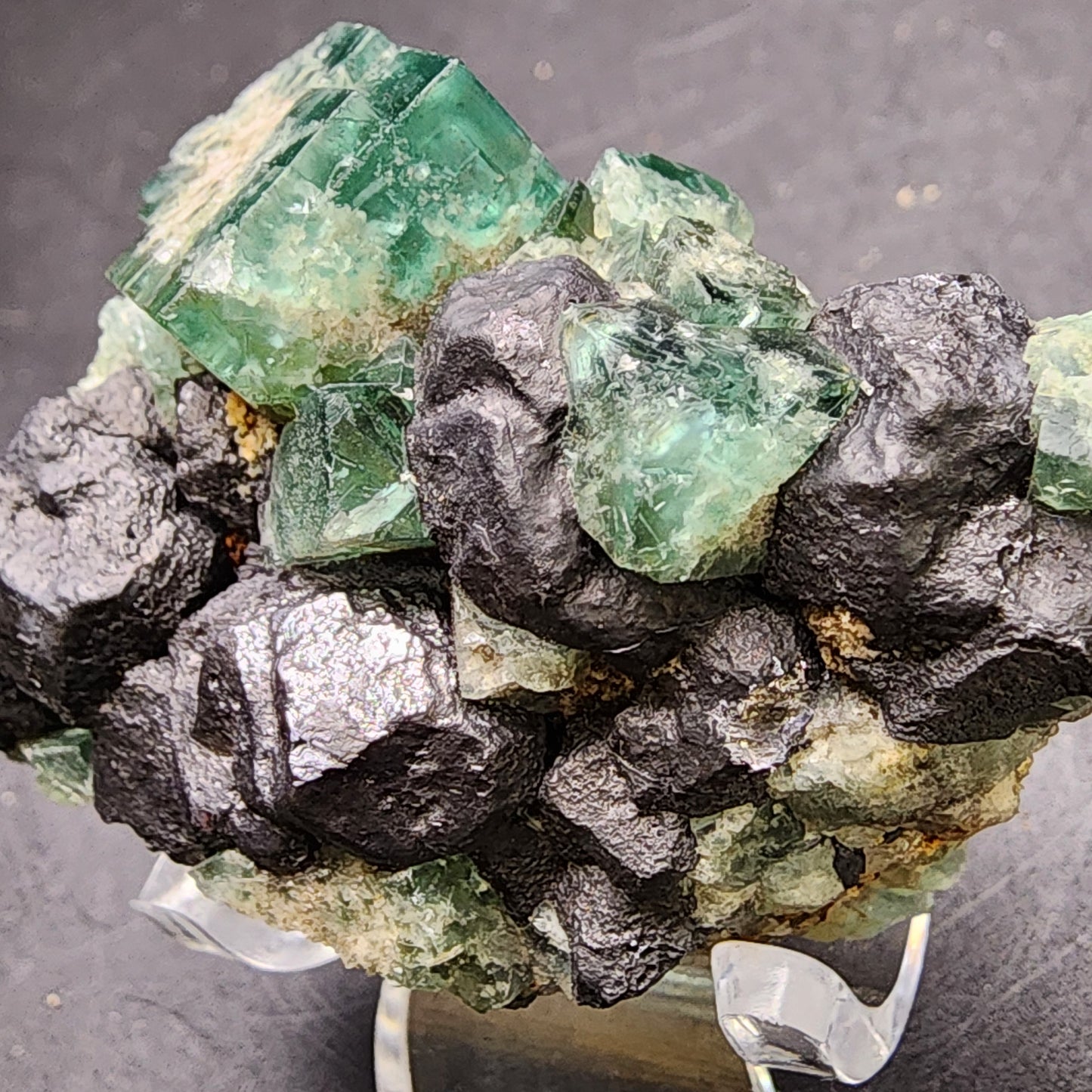 A detailed image features the glossy black Galena rocks interwoven with translucent green Fluorite crystals from The Crystalary's "Fluorite and Galena- Greedy Hog Pocket, Diana Maria Mine, Co Durham, UK" collection (sku 3069), set against a sleek black background.