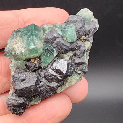 A hand holds a cluster of dark, metallic-looking crystals from the Fluorite and Galena collection, sourced from the Greedy Hog Pocket at Diana Maria Mine in Co Durham, UK. The crystals, which feature a mix of green, translucent fluorite and galena with a rough, uneven texture, glisten under the light against a black background. This exquisite piece is brought to you by The Crystalary (SKU: 3069).