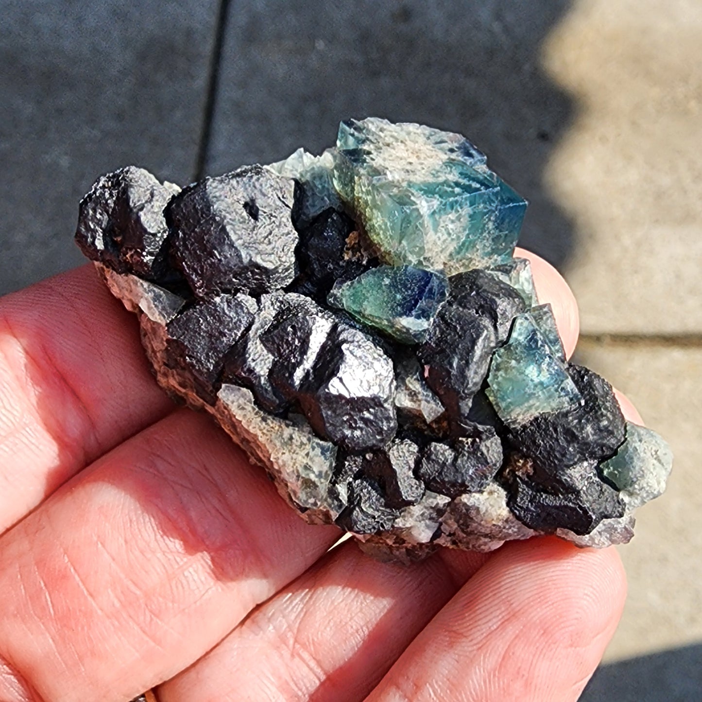 A hand displays a cluster of mineral rocks showcasing dark, jagged stones embellished with Galena and transparent blue and green Fluorite crystals. In the background, a blurred concrete surface can be observed. This exquisite piece is the Fluorite and Galena- Greedy Hog pocket from The Crystalary, sourced from Diana Maria Mine in Co Durham, UK (SKU 3069).