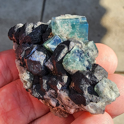 A hand holds a specimen from The Crystalary, showcasing cubic green and blue fluorite crystals resting on black, angular metallic galena. This piece is identified as "Fluorite and Galena - Greedy Hog pocket" from the Diana Maria Mine in Co Durham, UK (SKU: 3069). The background is a blurred gray surface.