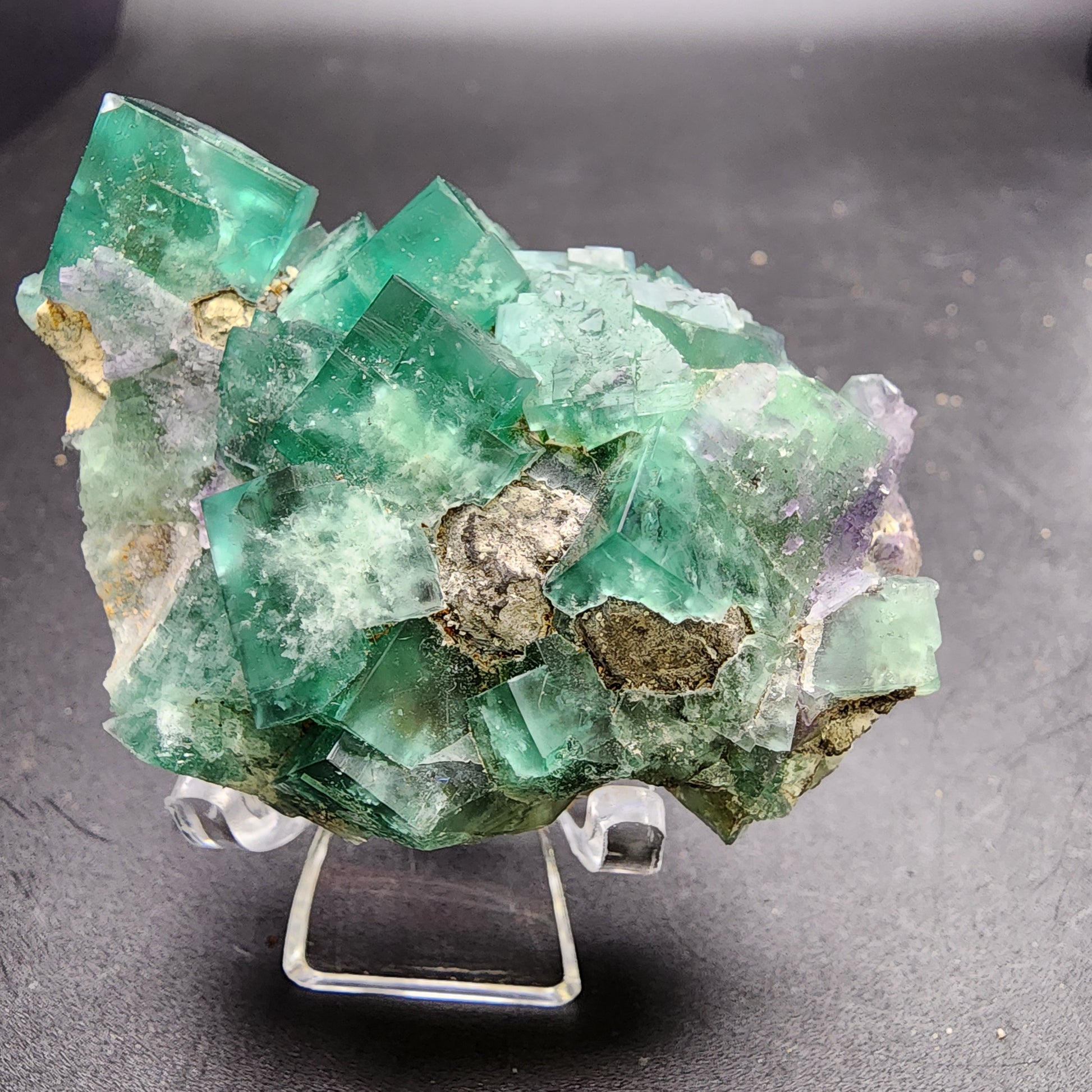 A striking piece of Fluorite and Galena from the Greedy Hog pocket at the Diana Maria Mine in Co Durham, UK, by The Crystalary (sku 3067) is elegantly positioned on a clear display stand. The fluorite crystals feature a cubic structure with some edges that exhibit partial transparency, beautifully contrasting against a dark background to highlight their vibrant color and intricate texture.