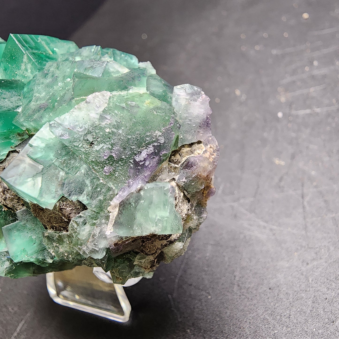 A stunning piece from The Crystalary's collection showcases a cluster of vibrant green fluorite crystals, featuring subtle hints of purple, sourced from the Greedy Hog pocket in the Diana Maria Mine, Co Durham, UK. Resting elegantly on a stand against a dark background, these rough-textured gems (SKU 3067) display an enchanting array of green hues that enhance their captivating allure.