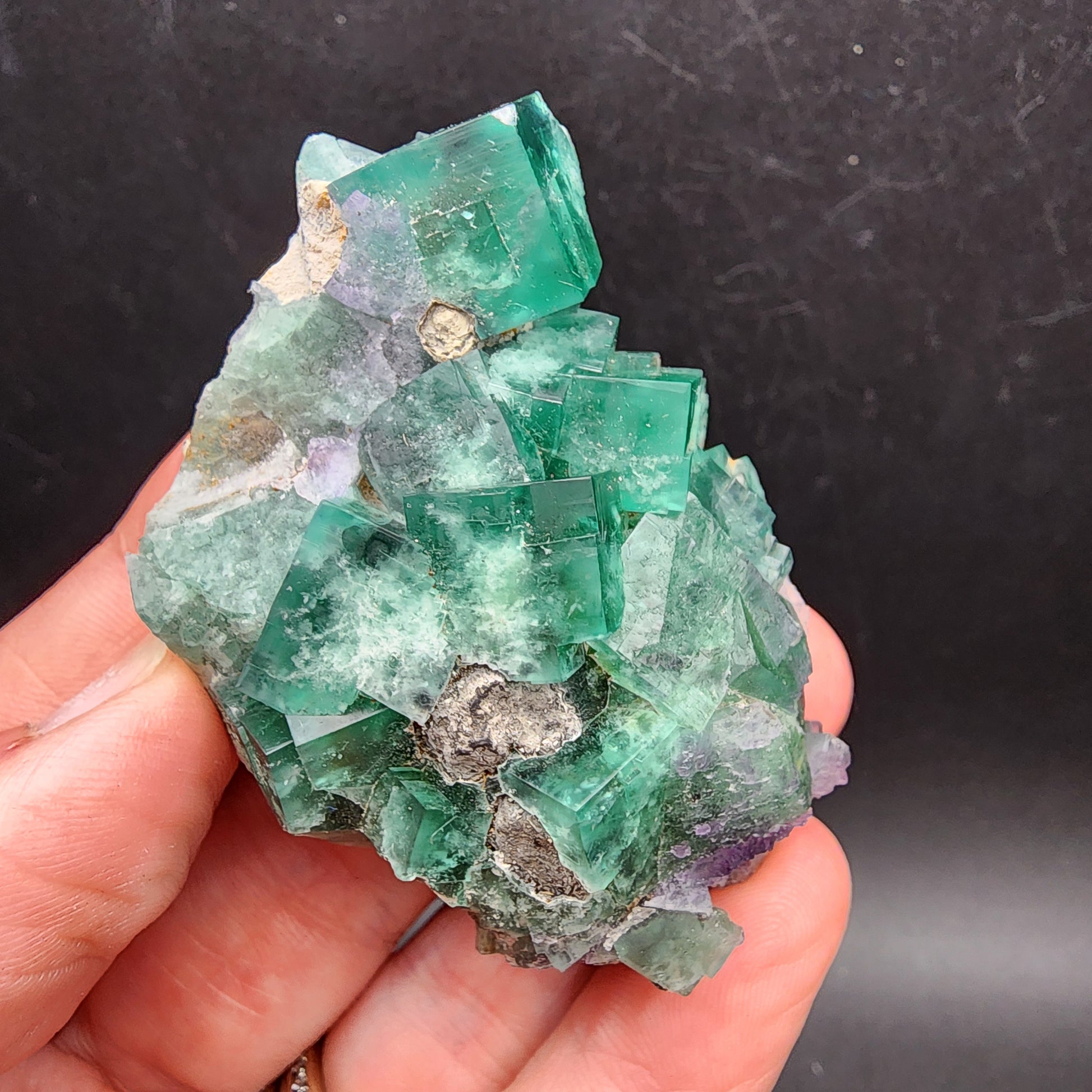 A hand displaying a vibrant green fluorite cluster from The Crystalary's Fluorite and Galena collection, sourced from the Greedy Hog pocket of the famous Diana Maria Mine in Co Durham, UK. The cubic formations are set against a black background, showing off their translucent quality with varying shades of green and subtle hints of purple.