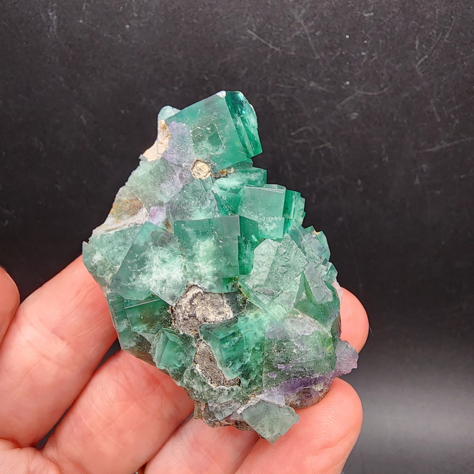 A hand displays a stunning cluster of the vibrant green cubic crystals, Fluorite and Galena from The Crystalary's collection. Hailing from the renowned Greedy Hog pocket at Diana Maria Mine in Co Durham, UK, this piece catches hints of purple. Set against a dark background, the glassy translucence and light-catching edges create an exquisite spectacle. Shop now - sku 3067.