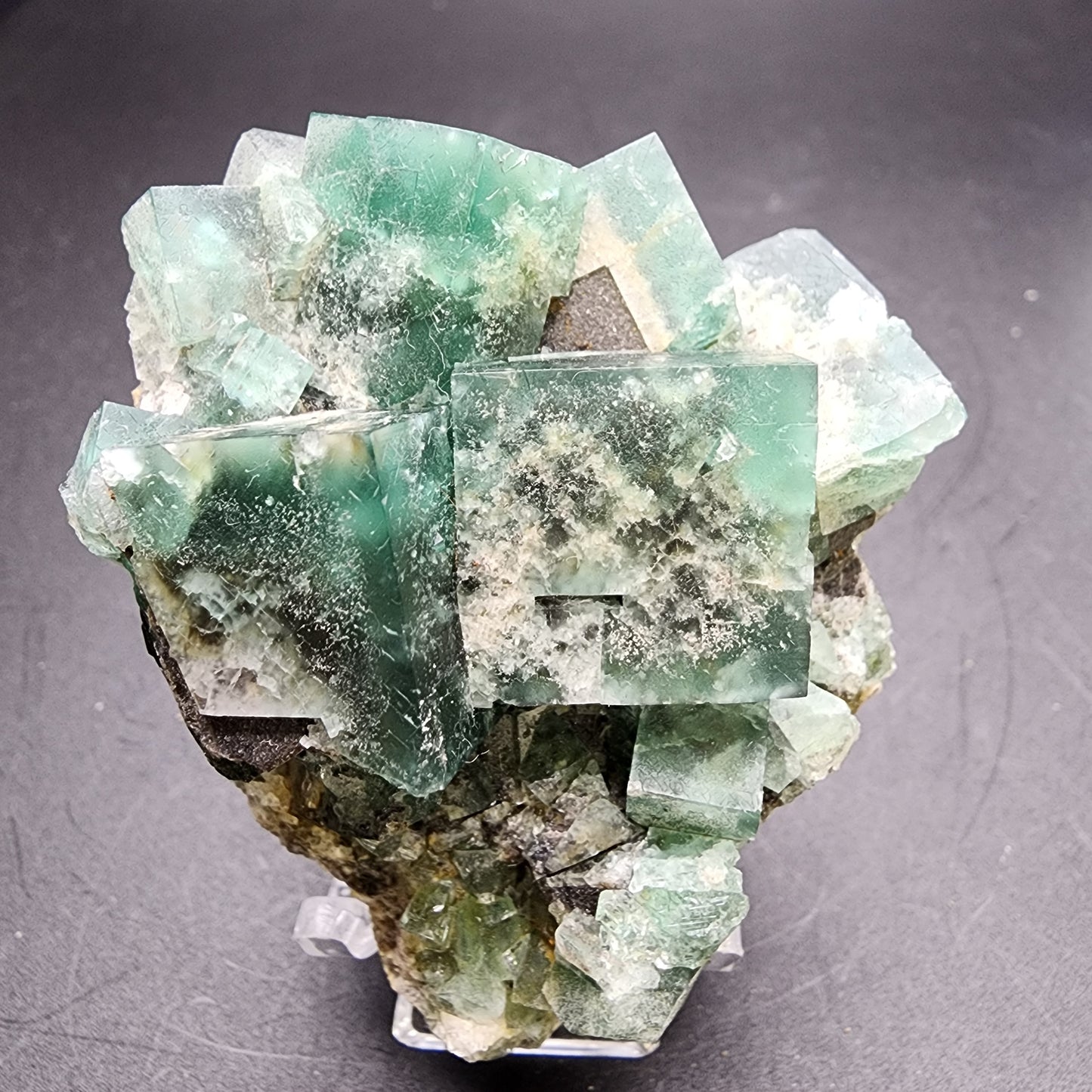 A captivating piece from The Crystalary features a cluster of green fluorite crystals with a cubic structure, beautifully perched on a dark base. Set against a plain background, these translucent crystals originate from the esteemed Greedy Hog Pocket at the Diana Maria Mine in Co Durham, UK. The sku 3066 piece exhibits an enchanting blend of light and dark green hues.