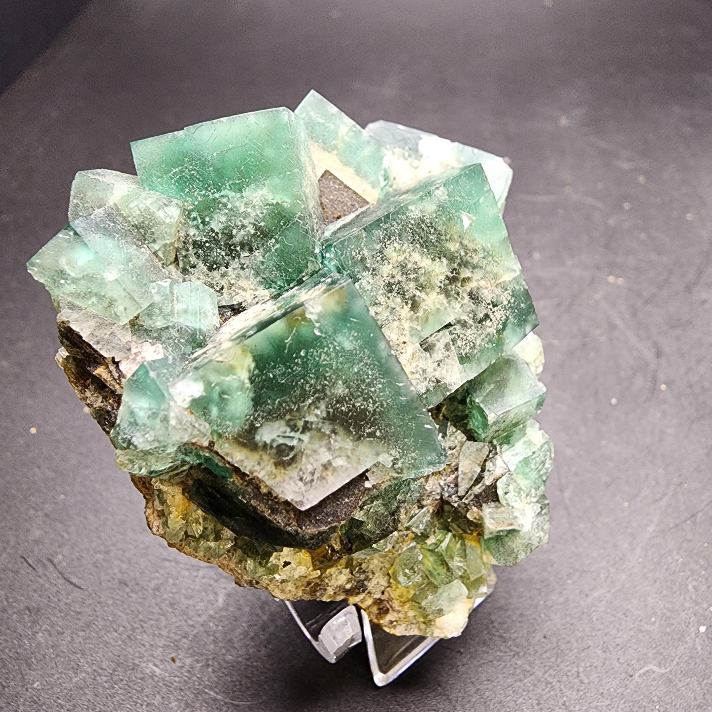 A cluster of cubic green fluorite crystals on a dark background, showcasing hues from deep to light green, is featured in the Fluorite and Galena piece from The Crystalary. These translucent crystals, hailing from the famous Greedy Hog Pocket at Diana Maria Mine in Co Durham, UK, include delicate white inclusions that enhance their natural allure. Product sku: 3066.