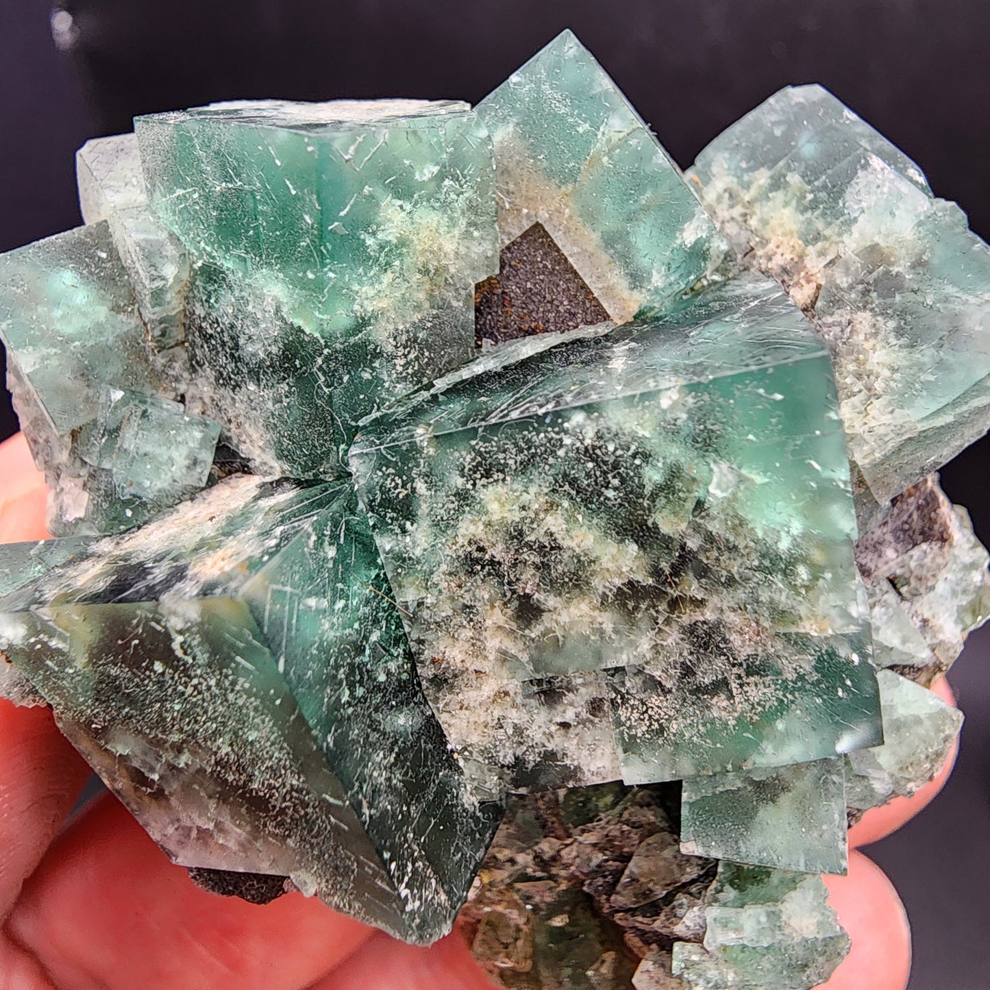 A hand displays a cluster of *Fluorite and Galena* from the Greedy Hog pocket at the Diana Maria Mine, Co Durham, UK (SKU 3066) by *The Crystalary*, featuring translucent cube-like structures with galena accents. Against a dark background, this piece reveals its intricate mineral structure and subtle hints of white and gray inclusions.