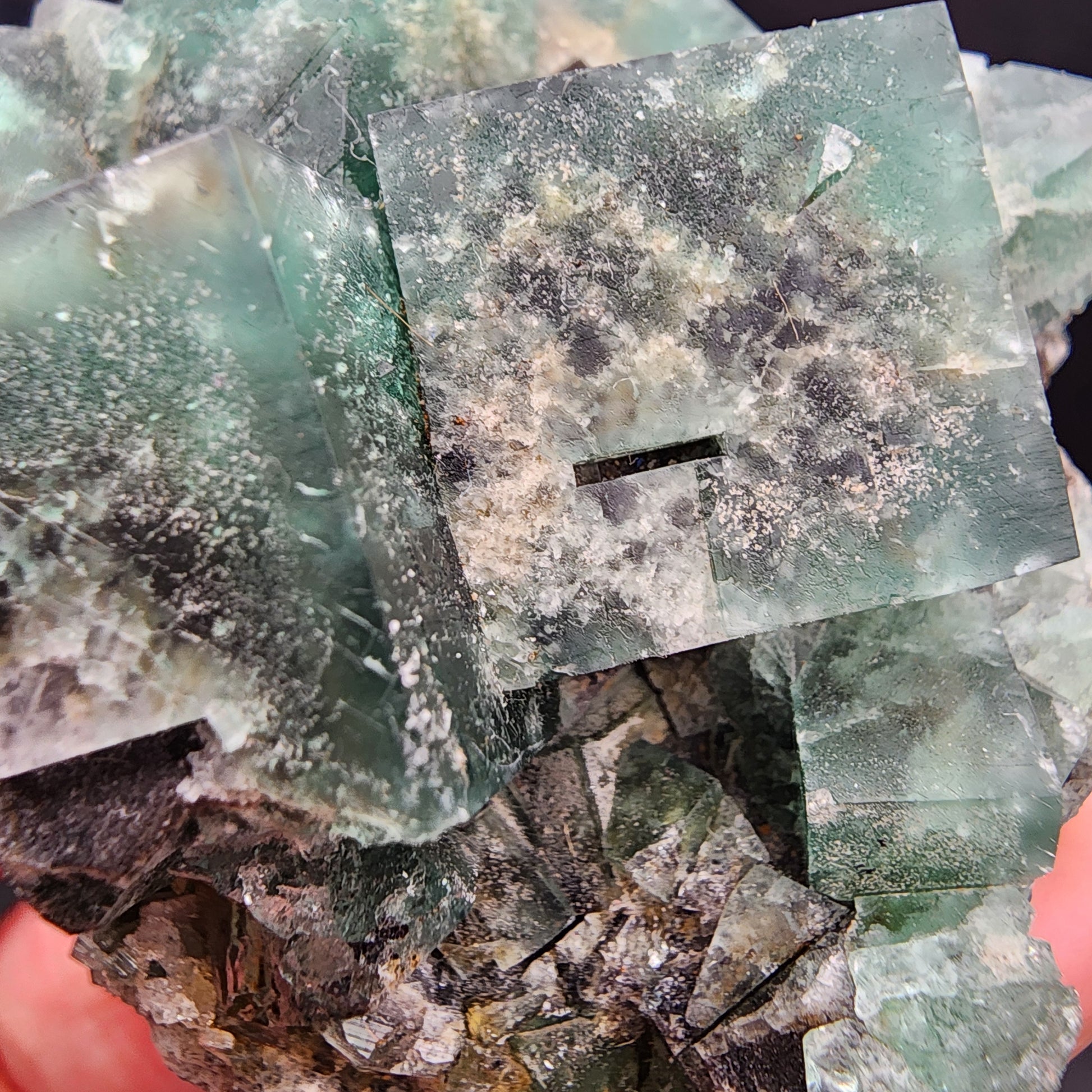 Close-up of The Crystalary's Fluorite and Galena from the Greedy Hog pocket, Diana Maria Mine in Co Durham, UK. This stunning crystal, SKU 3066, showcases cubic formations with natural textures and color variations. White and darker inclusions reminiscent of galena enhance its surface, while the blurred background highlights its intricate details.