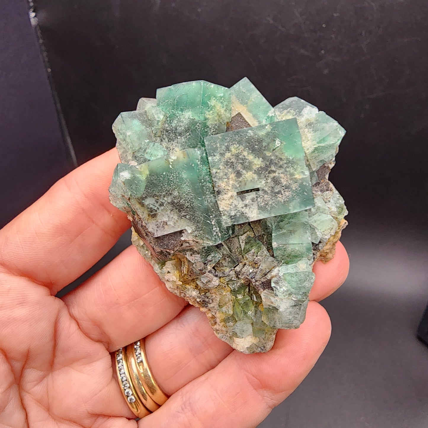 A hand is showcasing a cluster of vibrant green and translucent cubic Fluorite crystals with Galena from the Greedy Hog pocket at the Diana Maria Mine in Co Durham, UK. The rough-edged geometric shapes of these stunning crystals from The Crystalary contrast beautifully against a plain, dark background. (SKU 3066)