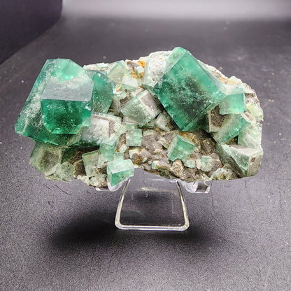 A vibrant mineral specimen from The Crystalary, entitled "Fluorite and Galena - Greedy Hog pocket" (SKU 3065), is elegantly presented on a display stand. This piece features large, transparent green cubic crystals of fluorite set against a rugged grayish matrix from the Diana Maria Mine in Co Durham, UK. The irregularity and varying sizes of the cubes lend the item a dynamic and striking appearance.