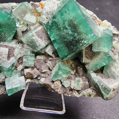 The Crystalary presents the Fluorite and Galena specimen (sku 3065) from the Greedy Hog pocket at the Diana Maria Mine in Co Durham, UK, featuring large green cubic crystals with a slightly frosted appearance. These crystals are embedded in a gray rocky matrix and elegantly displayed on a stand against a dark background.