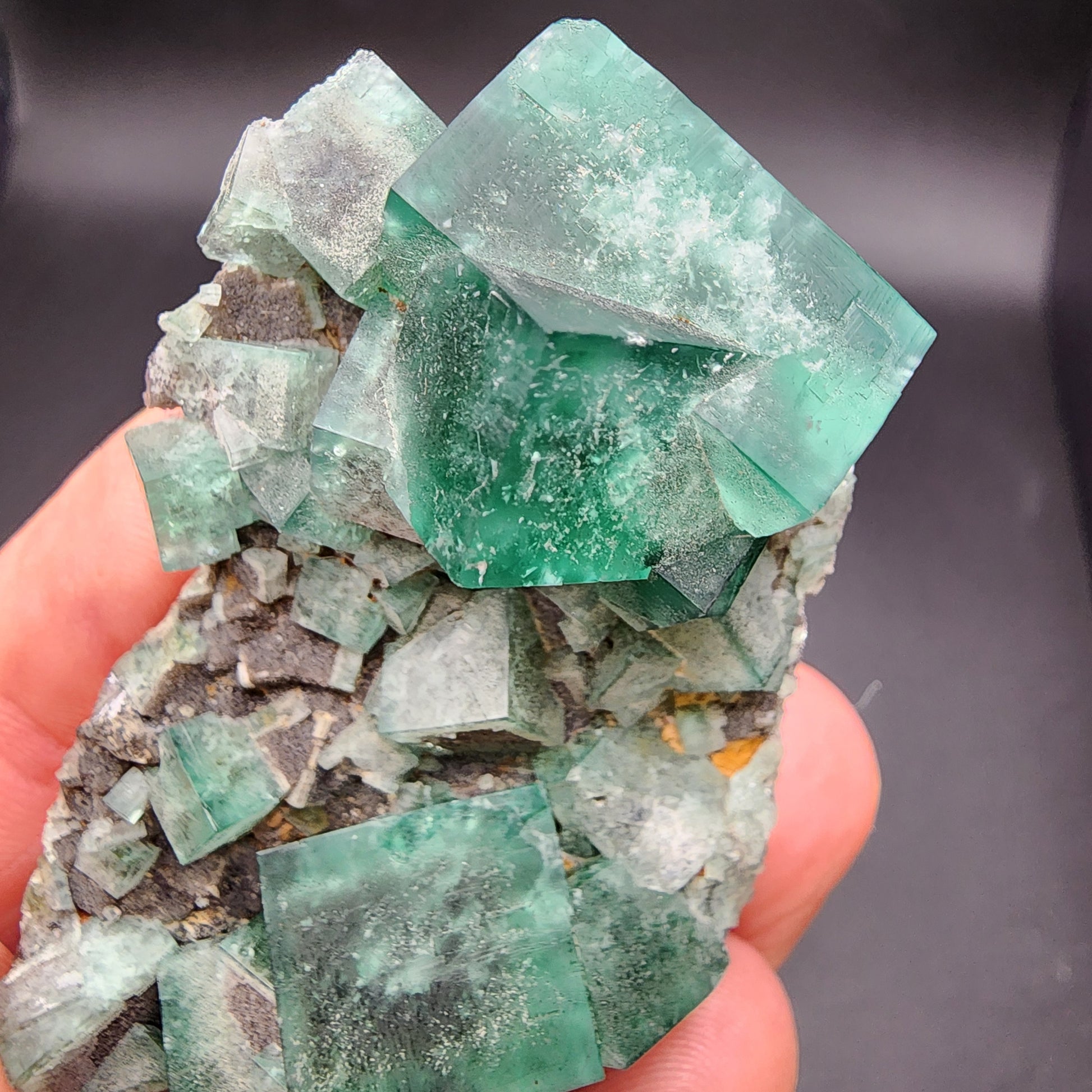 A hand holds a cluster of green fluorite crystals from the Greedy Hog pocket at the Diana Maria Mine in Co Durham, UK. These cubical gems, varying in size, boast a rough texture and nestle on a bed of smaller grayish rocks flecked with metallic galena. Available from The Crystalary, this piece is listed under SKU 3065.