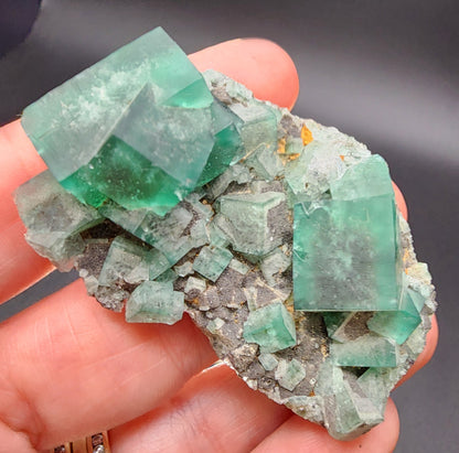 A hand holds a stunning piece from The Crystalary's collection, featuring raw fluorite and vibrant galena hues from the Greedy Hog Pocket at the Diana Maria Mine in Co Durham, UK (sku 3065). This mineral specimen showcases large green cubic crystals against a grey stone base with various shades of green set against a dark background.