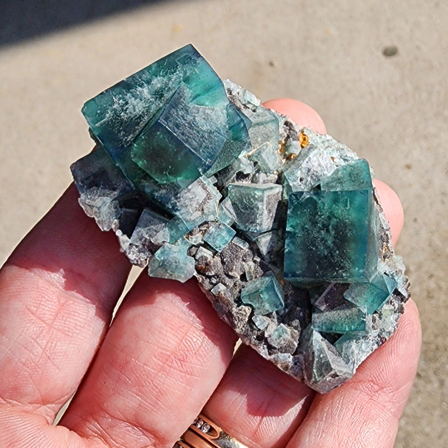 A hand showcases a stunning mineral specimen from The Crystalary, specifically the Fluorite and Galena from the Greedy Hog pocket at Diana Maria Mine in Co Durham, UK (SKU 3065). The translucent green-blue fluorite crystals rest upon a rough gray matrix, with their cubic formations boasting sharp edges that glisten brilliantly in sunlight.