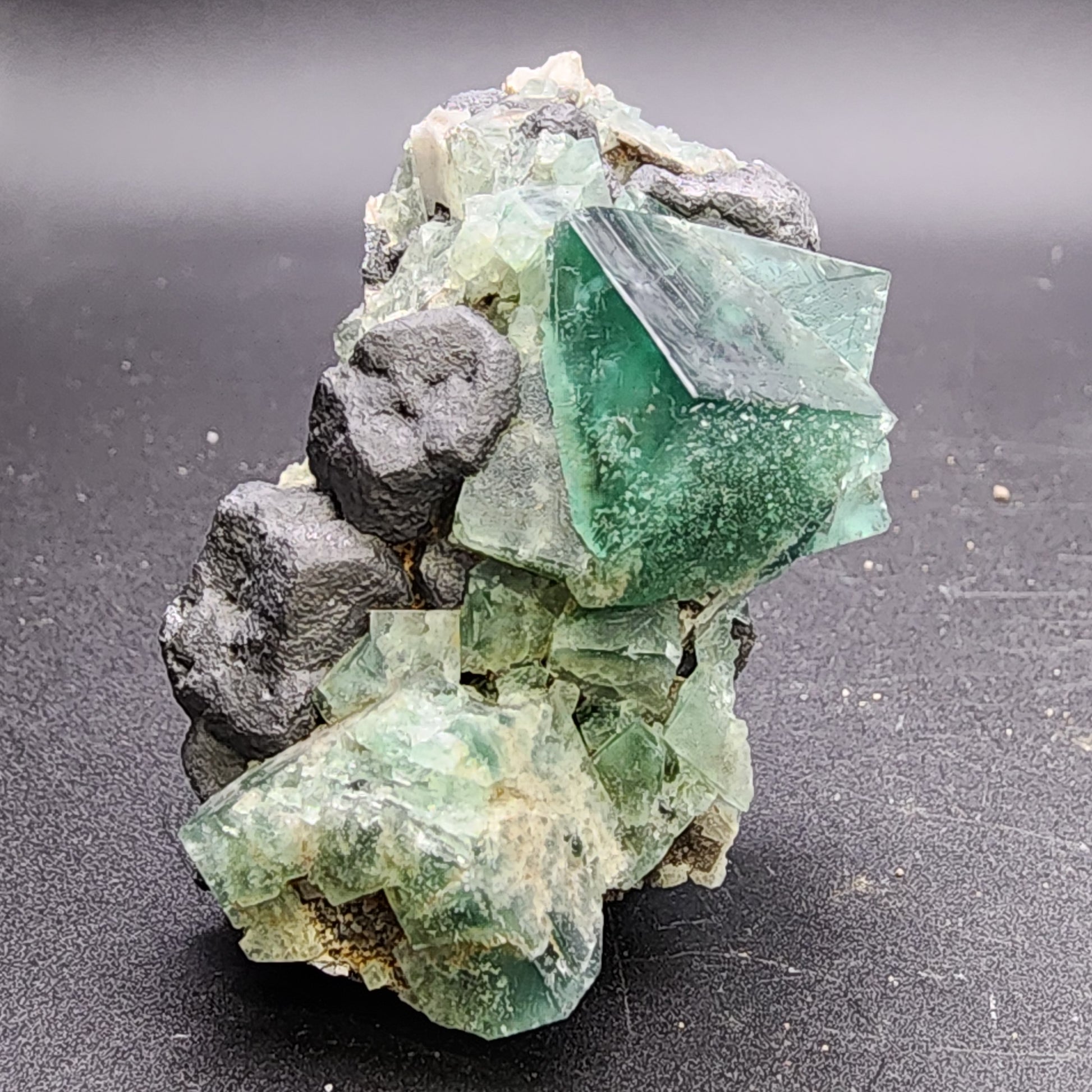 This striking rock specimen from *The Crystalary* showcases cubic green fluorite crystals from the famed Greedy Hog pocket at the Diana Maria Mine in Co Durham, UK. Nestled among dark gray, rough-textured galena formations, this piece, identified by SKU 3064, stands out dramatically against a plain black background.