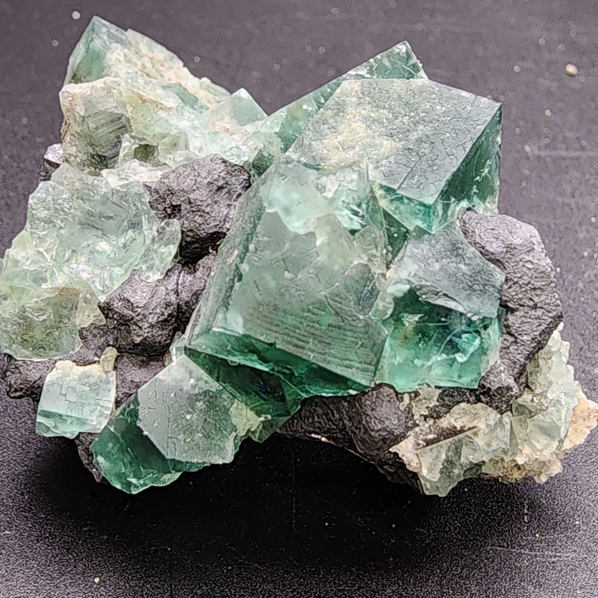 A cluster of green fluorite crystals with cubic formations, set on a dark rocky matrix, is featured in the Fluorite and Galena specimen from the Greedy Hog Pocket at Diana Maria Mine in Co Durham, UK. These translucent crystals, by The Crystalary (sku 3064), vary in size and have sharp edges that glimmer against a contrasting black backdrop.